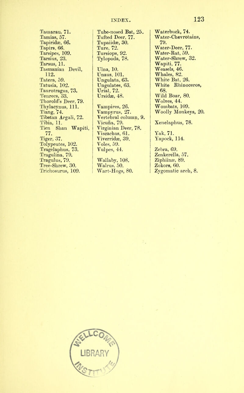 Tamarau, 71. Tamias, 57. Tapiridse, 66. Tapirs, 66. Tarsipes, 109. Tarsius, 23. Tarsus, 11. Tasmanian Devil, 112. Tatera, 59. Tatusia, 102. Taurotragus, 73. Tenrecs, 33. Thorold’s Deer, 79. Thylacynus, 111. Tiang, 74. Tibetan Argali, 72. Tibia, 11. Tien Shan Wapiti, 77. Tiger, 37. Tolypeutes, 102. Tragelaphus, 73. Tragulina, 79. Tragulus, 79. Tree-Shrew, 30. Tricliosurus, 109. Tube-nosed Bat, 25. Tufted Deer, 77. Tupaiidae, 30. Ture, 72. Tursiops, 92. Tylopoda, 78. Ulna, 10. Unaus. 101. Ungulata, 63. Ungulates, 63. Uriah 72. Ursidse, 48. Vampires, 26. Vampyrus, 27. Vertebral column, 9. Vicuna, 79. Virginian Deer, 78. Viscachas, 61. Viverridae, 39. Voles, 59. Vulpes, 44. i Wallaby, 108. I Walrus, .50. Wart-Hogs, 80. Waterbuck, 74. Water-Chevrotains, 79. Water-Deer, 77. Water-Rat, 59. Water-Shrew, 32. Wapiti, 77. Weasels, 46. Whales, 82. White Bat, 26. White Rhinoceros, 68. Wild Boar, 80. Wolves, 44. Wombats, 109. Woolly Monkeys, 20. Xenelaphus, 78. Yak, 71. Yapock, 114. Zebra, 69. Zenkerella, 57. Ziphiinffi, 89. Zokors, 60. Zygomatic arch, 8.