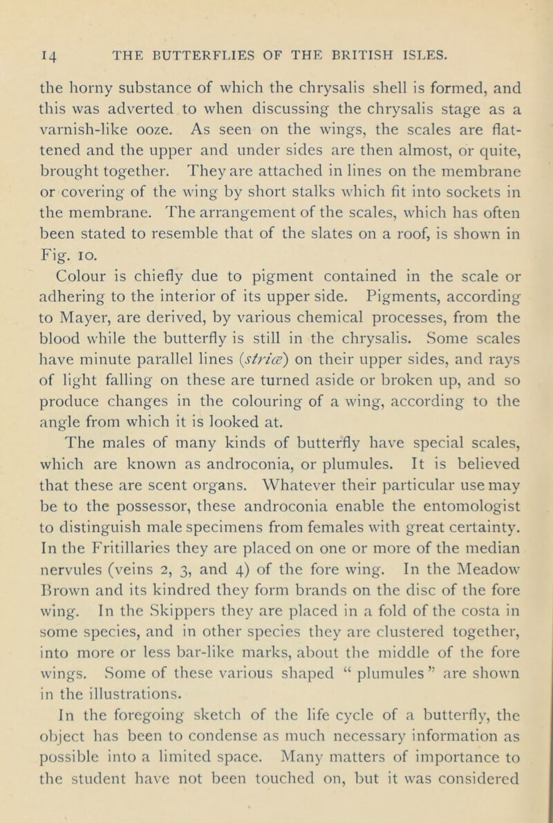 the horny substance of which the chrysalis shell is formed, and this was adverted to when discussing the chrysalis stage as a varnish-like ooze. As seen on the wings, the scales are flat- tened and the upper and under sides are then almost, or quite, brought together. They arc attached in lines on the membrane or covering of the wing by short stalks which fit into sockets in the membrane. The arrangement of the scales, which has often been stated to resemble that of the slates on a roof, is shown in Fig. io. Colour is chiefly due to pigment contained in the scale or adhering to the interior of its upper side. Pigments, according to Mayer, are derived, by various chemical processes, from the blood while the butterfly is still in the chrysalis. Some scales have minute parallel lines (strict) on their upper sides, and rays of light falling on these are turned aside or broken up, and so produce changes in the colouring of a wing, according to the angle from which it is looked at. The males of many kinds of butterfly have special scales, which are known as androconia, or plumules. It is believed that these are scent organs. Whatever their particular use may be to the possessor, these androconia enable the entomologist to distinguish male specimens from females with great certainty. In the Fritillaries they are placed on one or more of the median nervules (veins 2, 3, and 4) of the fore wing. In the Meadow Brown and its kindred they form brands on the disc of the fore wing. In the Skippers they are placed in a fold of the costa in some species, and in other species they are clustered together, into more or less bar-like marks, about the middle of the fore wings. .Some of these various shaped “plumules” are shown in the illustrations. In the foregoing sketch of the life cycle of a butterfly, the object has been to condense as much necessary information as possible into a limited space. Many matters of importance to the student have not been touched on, but it was considered