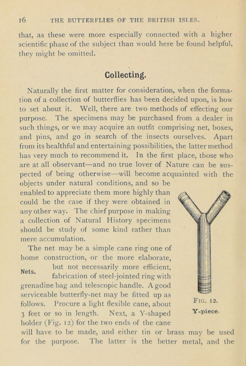 that, as these were more especially connected with a higher scientific phase of the subject than would here be found helpful, they might be omitted. Collecting. Naturally the first matter for consideration, when the forma- tion of a collection of butterflies has been decided upon, is how to set about it. Well, there are two methods of effecting our purpose. The specimens may be purchased from a dealer in such things, or we may acquire an outfit comprising net, boxes, and pins, and go in search of the insects ourselves. Apart from its healthful and entertaining possibilities, the latter method has very much to recommend it. In the first place, those who are at all observant—and no true lover of Nature can be sus- pected of being otherwise—will become acquainted with the objects under natural conditions, and so be enabled to appreciate them more highly than could be the case if they were obtained in any other way. The chief purpose in making a collection of Natural History specimens should be study of some kind rather than mere accumulation. The net may be a simple cane ring one of home construction, or the more elaborate, but not necessarily more efficient, fabrication of steel-jointed ring with grenadine bag and telescopic handle. A good serviceable butterfly-net may be fitted up as follows. Procure a light flexible cane, about 3 feet or so in length. Next, a Y-shaped holder (Fig. 12) for the two ends of the cane will have to be made, and either tin or brass may be used for the purpose. The latter is the better metal, and the Nets.