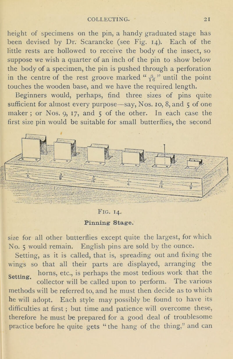 height of specimens on the pin, a handy graduated stage has been devised by Dr. Scarancke (see Fig. 14). Each of the little rests are hollowed to receive the body of the insect, so suppose we wish a quarter of an inch of the pin to show below the body of a specimen, the pin is pushed through a perforation in the centre of the rest groove marked “ ^ ” until the point touches the wooden base, and we have the required length. Beginners would, perhaps, find three sizes of pins quite sufficient for almost every purpose—say, Nos. 10, 8, and 5 of one maker ; or Nos. 9, 17, and 5 of the other. In each case the first size pin would be suitable for small butterflies, the second Fig. 14. Pinning: Stage. size for all other butterflies except quite the largest, for which No. 5 would remain. English pins are sold by the ounce. Setting, as it is called, that is, spreading out and fixing the wings so that all their parts are displayed, arranging the Setting horns, etc., is perhaps the most tedious work that the collector will be called upon to perform. The various methods will be referred to, and he must then decide as to which he will adopt. Each style may possibly be found to have its difficulties at first ; but time and patience will overcome these, therefore he must be prepared for a good deal of troublesome practice before he quite gets “the hang of the thing,” and can