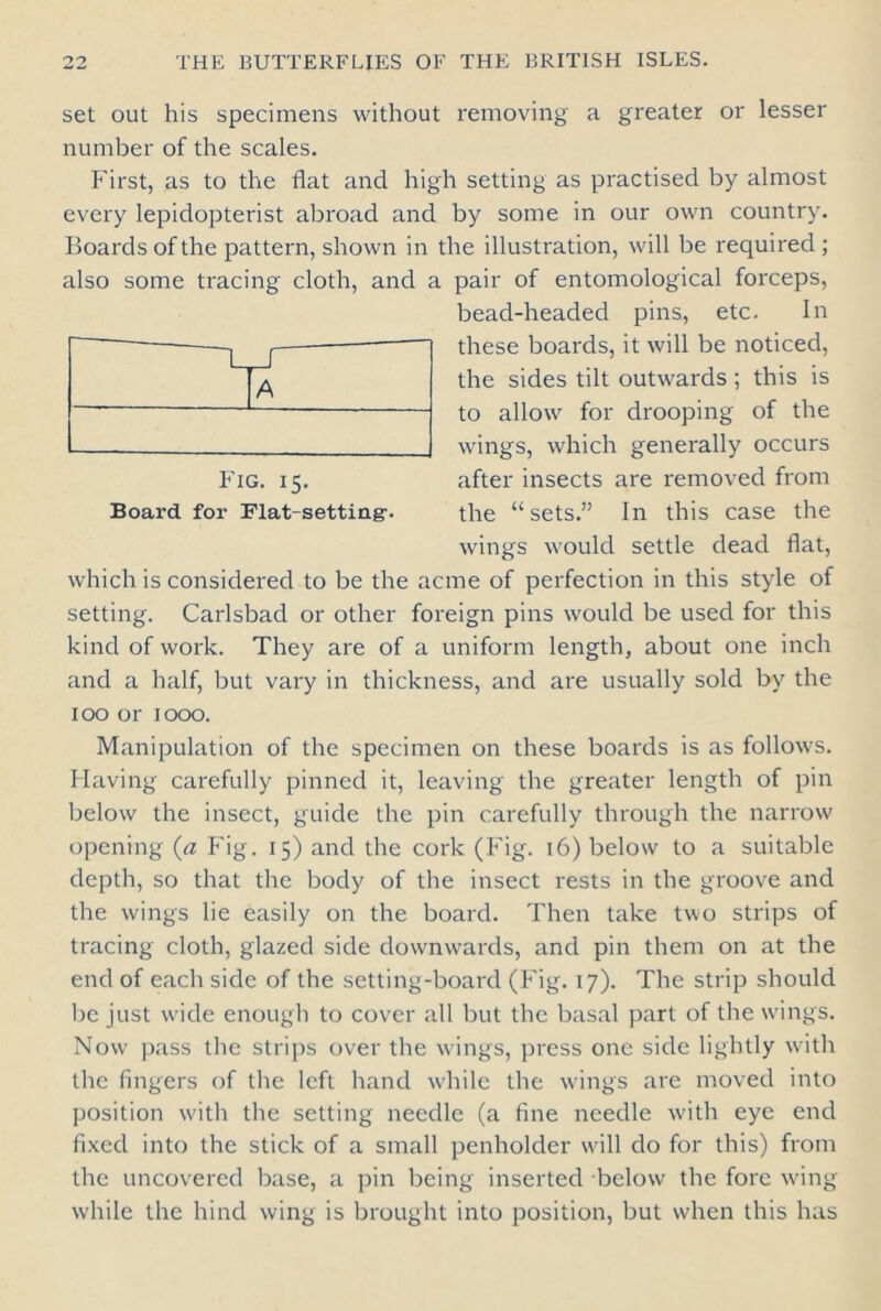 set out his specimens without removing a greater or lesser number of the scales. First, as to the flat and high setting as practised by almost every lepidopterist abroad and by some in our own country. Boards of the pattern, shown in the illustration, will be required ; also some tracing cloth, and a pair of entomological forceps, bead-headed pins, etc. In these boards, it will be noticed, the sides tilt outwards ; this is to allow for drooping of the wings, which generally occurs after insects are removed from the “sets.” In this case the wings would settle dead flat, which is considered to be the acme of perfection in this style of setting. Carlsbad or other foreign pins would be used for this kind of work. They are of a uniform length, about one inch and a half, but vary in thickness, and are usually sold by the 100 or 1000. Manipulation of the specimen on these boards is as follows. Having carefully pinned it, leaving the greater length of pin below the insect, guide the pin carefully through the narrow opening (a Fig. 15) and the cork (Fig. 16) below to a suitable depth, so that the body of the insect rests in the groove and the wings lie easily on the board. Then take two strips of tracing cloth, glazed side dowmvards, and pin them on at the end of each side of the setting-board (Fig. 17). The strip should be just wfide enough to cover all but the basal part of the wings. Now pass the strips over the wings, press one side lightly with the fingers of the left hand while the wings are moved into position with the setting needle (a fine needle with eye end fixed into the stick of a small penholder will do for this) from the uncovered base, a pin being inserted below the fore wing while the hind wing is brought into position, but when this has