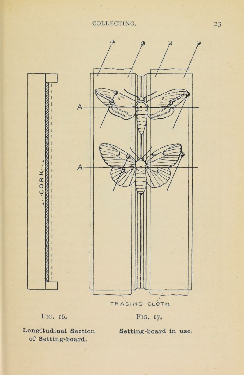 Fig. i6. Longitudinal Section of Setting-board. Setting-board in use.