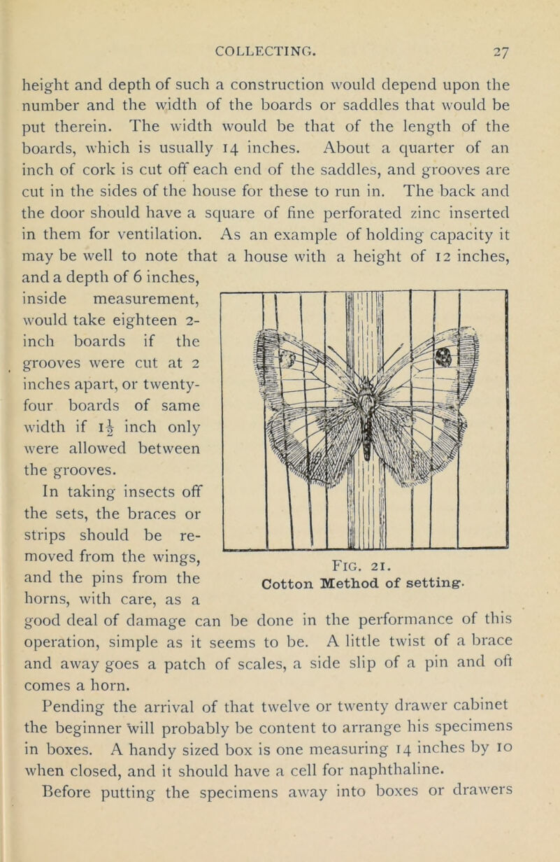 height and depth of such a construction would depend upon the number and the width of the boards or saddles that would be put therein. The width would be that of the length of the boards, which is usually 14 inches. About a quarter of an inch of cork is cut off each end of the saddles, and grooves are cut in the sides of the house for these to run in. The back and the door should have a square of fine perforated zinc inserted in them for ventilation. As an example of holding capacity it may be well to note that a house with a height of 12 inches, and a depth of 6 inches, inside measurement, would take eighteen 2- inch boards if the grooves were cut at 2 inches apart, or twenty- four boards of same width if I? inch only were allowed between the grooves. In taking insects off the sets, the braces or strips should be re- moved from the wings, and the pins from the horns, with care, as a good deal of damage can be done in the performance of this operation, simple as it seems to be. A little twist of a brace and away goes a patch of scales, a side slip of a pin and oft comes a horn. Pending the arrival of that twelve or twenty drawer cabinet the beginner will probably be content to arrange his specimens in boxes. A handy sized box is one measuring 14 inches by 10 when closed, and it should have a cell for naphthaline. Before putting the specimens away into boxes or drawers Fig. 21. Cotton Method of setting1.