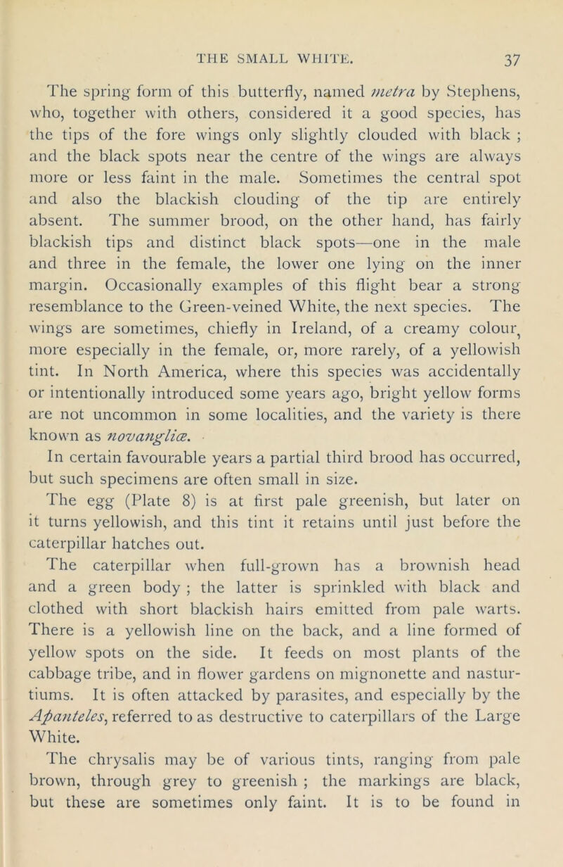 The spring form of this butterfly, named metra by Stephens, who, together with others, considered it a good species, has the tips of the fore wings only slightly clouded with black ; and the black spots near the centre of the wings are always more or less faint in the male. Sometimes the central spot and also the blackish clouding of the tip are entirely absent. The summer brood, on the other hand, has fairly blackish tips and distinct black spots—one in the male and three in the female, the lower one lying on the inner margin. Occasionally examples of this flight bear a strong- resemblance to the Green-veined White, the next species. The wings are sometimes, chiefly in Ireland, of a creamy colour^ more especially in the female, or, more rarely, of a yellowish tint. In North America, where this species was accidentally or intentionally introduced some years ago, bright yellow forms are not uncommon in some localities, and the variety is there known as novanglicz. In certain favourable years a partial third brood has occurred, but such specimens are often small in size. The egg (Plate 8) is at first pale greenish, but later on it turns yellowish, and this tint it retains until just before the caterpillar hatches out. The caterpillar when full-grown has a brownish head and a green body ; the latter is sprinkled with black and clothed with short blackish hairs emitted from pale warts. There is a yellowish line on the back, and a line formed of yellow spots on the side. It feeds on most plants of the cabbage tribe, and in flower gardens on mignonette and nastur- tiums. It is often attacked by parasites, and especially by the Apanteles, referred to as destructive to caterpillars of the Large White. The chrysalis may be of various tints, ranging from pale brown, through grey to greenish ; the markings are black, but these are sometimes only faint. It is to be found in
