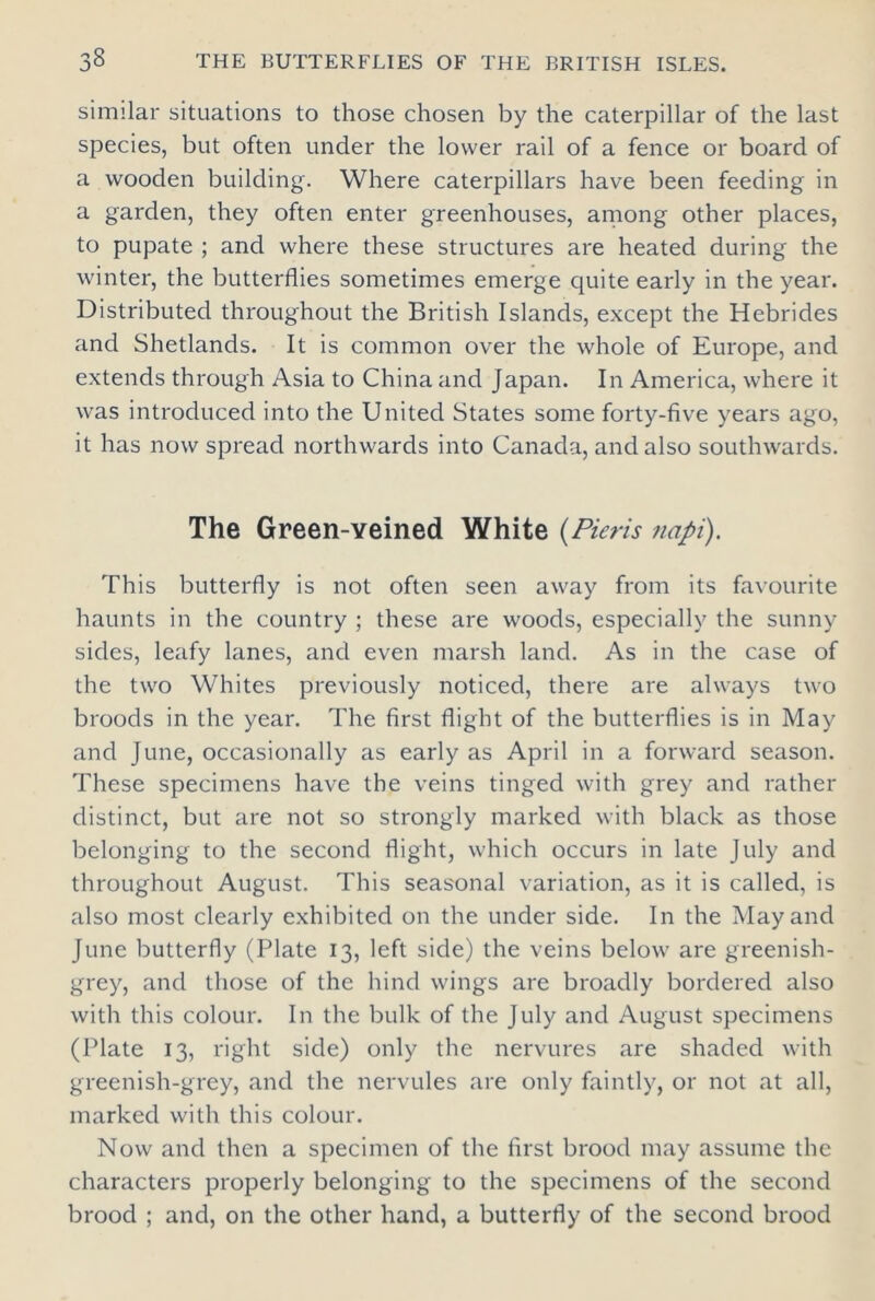 similar situations to those chosen by the caterpillar of the last species, but often under the lower rail of a fence or board of a wooden building. Where caterpillars have been feeding in a garden, they often enter greenhouses, among other places, to pupate ; and where these structures are heated during the winter, the butterflies sometimes emerge quite early in the year. Distributed throughout the British Islands, except the Hebrides and Shetlands. It is common over the whole of Europe, and extends through Asia to China and Japan. In America, where it was introduced into the United States some forty-five years ago, it has now spread northwards into Canada, and also southwards. The Green-yeined White (Pieris ncipi). This butterfly is not often seen away from its favourite haunts in the country ; these are woods, especially the sunny sides, leafy lanes, and even marsh land. As in the case of the two Whites previously noticed, there are always two broods in the year. The first flight of the butterflies is in May and June, occasionally as early as April in a forward season. These specimens have the veins tinged with grey and rather distinct, but are not so strongly marked with black as those belonging to the second flight, which occurs in late July and throughout August. This seasonal variation, as it is called, is also most clearly exhibited on the under side. In the May and June butterfly (Plate 13, left side) the veins below are greenish- grey, and those of the hind wings are broadly bordered also with this colour. In the bulk of the July and August specimens (Plate 13, right side) only the nervures are shaded with greenish-grey, and the nervules are only faintly, or not at all, marked with this colour. Now and then a specimen of the first brood may assume the characters properly belonging to the specimens of the second brood ; and, on the other hand, a butterfly of the second brood