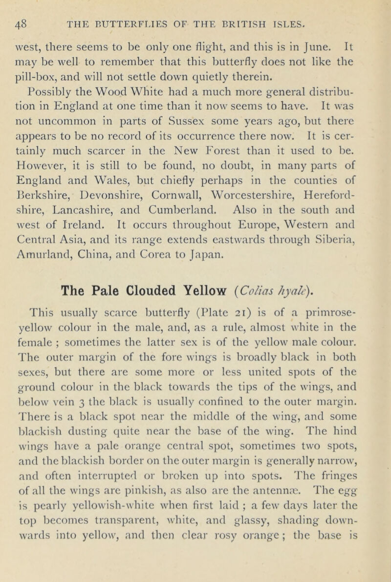 west, there seems to be only one flight, and this is in June. It may be well to remember that this butterfly does not like the pill-box, and will not settle down quietly therein. Possibly the Wood White had a much more general distribu- tion in England at one time than it now seems to have. It was not uncommon in parts of Sussex some years ago, but there appears to be no record of its occurrence there now. It is cer- tainly much scarcer in the New Forest than it used to be. However, it is still to be found, no doubt, in many parts of England and Wales, but chiefly perhaps in the counties of Berkshire, Devonshire, Cornwall, Worcestershire, Hereford- shire, Lancashire, and Cumberland. Also in the south and west of Ireland. It occurs throughout Europe, Western and Central Asia, and its range extends eastwards through Siberia, Amurland, China, and Corea to Japan. The Pale Clouded Yellow (Calias hyalc). This usually scarce butterfly (Plate 21) is of a primrose- yellow colour in the male, and, as a rule, almost white in the female ; sometimes the latter sex is of the yellow male colour. The outer margin of the fore wings is broadly black in both sexes, but there are some more or less united spots of the ground colour in the black towards the tips of the wings, and below vein 3 the black is usually confined to the outer margin. There is a black spot near the middle of the wing, and some blackish dusting quite near the base of the wing. The hind wings have a pale orange central spot, sometimes two spots, and the blackish border on the outer margin is generally narrow, and often interrupted or broken up into spots. The fringes of all the wings are pinkish, as also are the antennre. The eg^g is pearly yellowish-white when first laid ; a few days later the top becomes transparent, white, and glassy, shading down- wards into yellow, and then clear rosy orange ; the base is