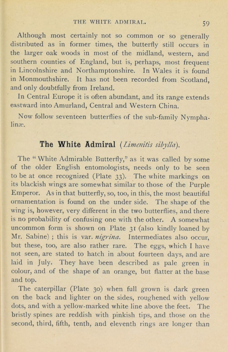 Although most certainly not so common or so generally distributed as in former times, the butterfly still occurs in the larger oak woods in most of the midland, western, and southern counties of England, but is, perhaps, most frequent in Lincolnshire and Northamptonshire. In Wales it is found in Monmouthshire. It has not been recorded from Scotland, and only doubtfully from Ireland. In Central Europe it is often abundant, and its range extends eastward into Amurland, Central and Western China. Now follow seventeen butterflies of the sub-family Nympha- linm. The White Admiral (Limetiitis sibyl la). The “ White Admirable Butterfly,” as it was called by some of the older English entomologists, needs only to be seen to be at once recognized (Plate 33). The white markings on its blackish wings are somewhat similar to those of the Purple Emperor. As in that butterfly, so, too, in this, the most beautiful ornamentation is found on the under side. The shape of the wing is, however, very different in the two butterflies, and there is no probability of confusing one with the other. A somewhat uncommon form is shown on Plate 31 (also kindly loaned by Mr. Sabine) ; this is var. nigrina. Intermediates also occur, but these, too, are also rather rare. The eggs, which I have not seen, are stated to hatch in about fourteen days, and are laid in July. They have been described as pale green in colour, and of the shape of an orange, but flatter at the base and top. The caterpillar (Plate 30) when full grown is dark green on the back and lighter on the sides, roughened with yellow dots, and with a yellow-marked white line above the feet. The bristly spines are reddish with pinkish tips, and those on the second, third, fifth, tenth, and eleventh rings are longer than