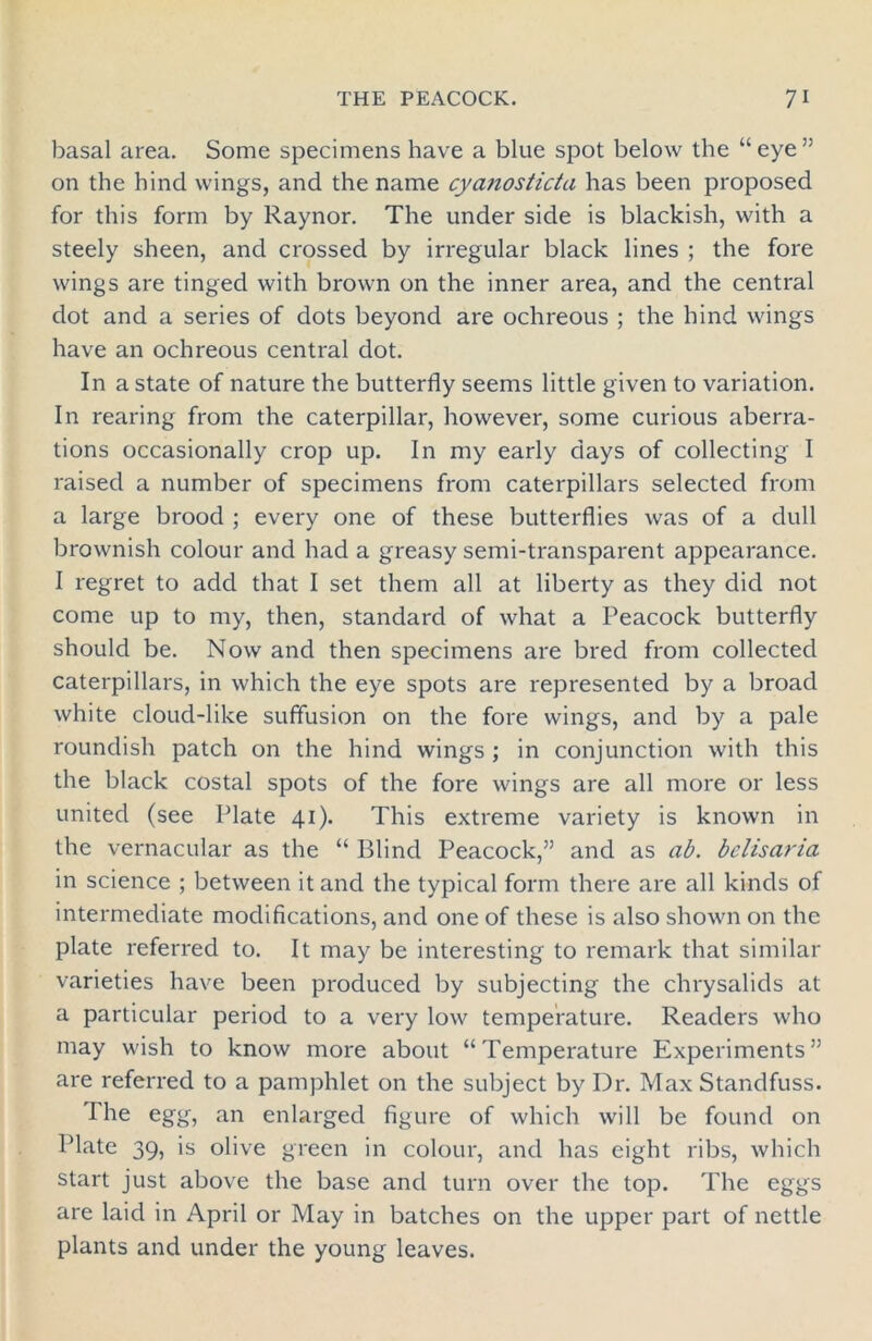 basal area. Some specimens have a blue spot below the “ eye ” on the hind wings, and the name cyanosticta has been proposed for this form by Raynor. The under side is blackish, with a steely sheen, and crossed by irregular black lines ; the fore wings are tinged with brown on the inner area, and the central dot and a series of dots beyond are ochreous ; the hind wings have an ochreous central dot. In a state of nature the butterfly seems little given to variation. In rearing from the caterpillar, however, some curious aberra- tions occasionally crop up. In my early days of collecting I raised a number of specimens from caterpillars selected from a large brood ; every one of these butterflies was of a dull brownish colour and had a greasy semi-transparent appearance. I regret to add that I set them all at liberty as they did not come up to my, then, standard of what a Peacock butterfly should be. Now and then specimens are bred from collected caterpillars, in which the eye spots are represented by a broad white cloud-like suffusion on the fore wings, and by a pale roundish patch on the hind wings ; in conjunction with this the black costal spots of the fore wings are all more or less united (see Plate 41). This extreme variety is known in the vernacular as the “ Blind Peacock,” and as ab. belisaria in science ; between it and the typical form there are all kinds of intermediate modifications, and one of these is also shown on the plate referred to. It may be interesting to remark that similar varieties have been produced by subjecting the chrysalids at a particular period to a very low temperature. Readers who may wish to know more about “Temperature Experiments” are referred to a pamphlet on the subject by Dr. Max Standfuss. The egg, an enlarged figure of which will be found on Plate 39, is olive green in colour, and has eight ribs, which start just above the base and turn over the top. The eggs are laid in April or May in batches on the upper part of nettle plants and under the young leaves.