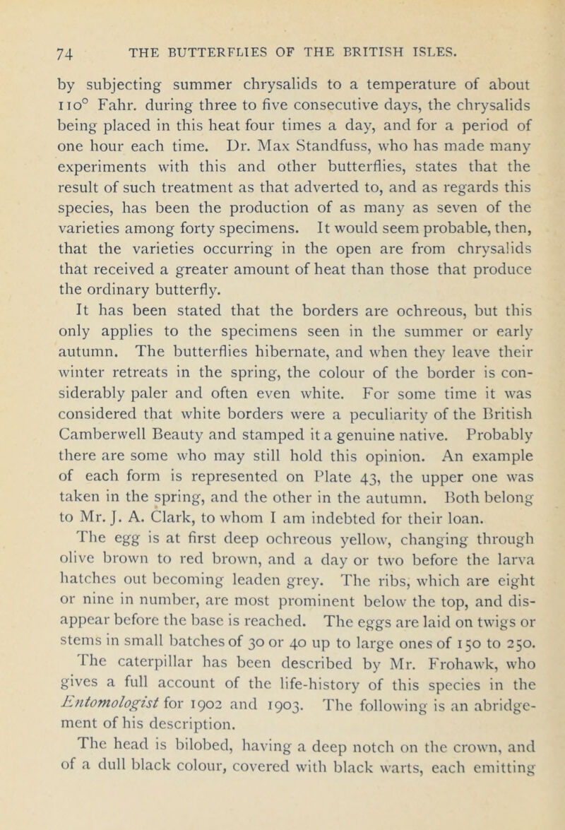 by subjecting summer chrysalids to a temperature of about no° Fahr. during three to five consecutive days, the chrysalids being placed in this heat four times a day, and for a period of one hour each time. Dr. Max Standfuss, who has made many experiments with this and other butterflies, states that the result of such treatment as that adverted to, and as regards this species, has been the production of as many as seven of the varieties among forty specimens. It would seem probable, then, that the varieties occurring in the open are from chrysalids that received a greater amount of heat than those that produce the ordinary butterfly. It has been stated that the borders are ochreous, but this only applies to the specimens seen in the summer or early autumn. The butterflies hibernate, and when they leave their winter retreats in the spring, the colour of the border is con- siderably paler and often even white. For some time it was considered that white borders were a peculiarity of the British Camberwell Beauty and stamped it a genuine native. Probably there are some who may still hold this opinion. An example of each form is represented on Plate 43, the upper one was taken in the spring, and the other in the autumn. Both belong to Mr. J. A. Clark, to whom I am indebted for their loan. The egg is at first deep ochreous yellow, changing through olive brown to red brown, and a day or two before the larva hatches out becoming leaden grey. The ribs, which are eight or nine in number, are most prominent below the top, and dis- appear before the base is reached. The eggs are laid on twigs or stems in small batches of 30 or 40 up to large ones of 150 to 250. The caterpillar has been described by Mr. Frohawk, who gives a full account of the life-history of this species in the Entomologist for 1902 and 1903. The following is an abridge- ment of his description. The head is bilobed, having a deep notch on the crown, and of a dull black colour, covered with black warts, each emitting