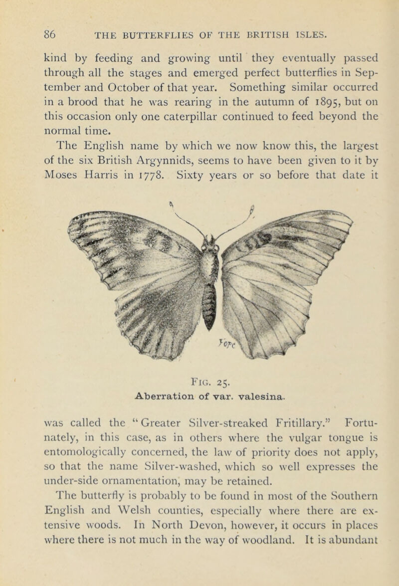 kind by feeding and growing until they eventually passed through all the stages and emerged perfect butterflies in Sep- tember and October of that year. Something similar occurred in a brood that he was rearing in the autumn of 1895, but on this occasion only one caterpillar continued to feed beyond the normal time. The English name by which we now know this, the largest of the six British Argynnids, seems to have been given to it by Moses Harris in 1778. Sixty years or so before that date it Fig. 25. Aberration of var. valesina. was called the ‘'Greater Silver-streaked Fritillary.” Fortu- nately, in this case, as in others where the vulgar tongue is entomologically concerned, the law of priority does not apply, so that the name Silver-washed, which so well expresses the under-side ornamentation, may be retained. The butterfly is probably to be found in most of the Southern English and Welsh counties, especially where there are ex- tensive woods. In North Devon, however, it occurs in places where there is not much in the way of woodland. It is abundant