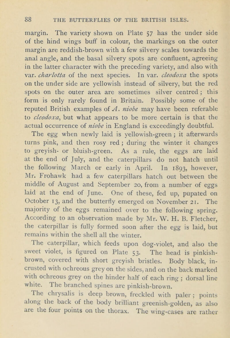 margin. The variety shown on Plate 57 has the under side of the hind wings buff in colour, the markings on the outer margin are reddish-brown with a few silvery scales towards the anal angle, and the basal silvery spots are confluent, agreeing in the latter character with the preceding variety, and also with var. charlotta of the next species. In var. cleodoxa the spots on the under side are yellowish instead of silvery, but the red spots on the outer area are sometimes silver centred ; this form is only rarely found in Britain. Possibly some of the reputed British examples of A. niobe may have been referable to cleodoxa, but what appears to be more certain is that the actual occurrence of niobe in England is exceedingly doubtful. The egg when newly laid is yellowish-green ; it afterwards turns pink, and then rosy red ; during the winter it changes to greyish- or bluish-green. As a rule, the eggs are laid at the end of July, and the caterpillars do not hatch until the following March or early in April. In 1893, however, Mr. Frohawk had a few caterpillars hatch out between the middle of August and September 20, from a number of eggs laid at the end of June. One of these, fed up, pupated on October 13, and the butterfly emerged on November 21. The majority of the eggs remained over to the following spring. According to an observation made by Mr. W. H. B. Fletcher, the caterpillar is fully formed soon after the egg is laid, but remains within the shell all the winter. 1 he caterpillar, which feeds upon dog-violet, and also the sweet violet, is figured on Plate 53. The head is pinkish- brown, covered with short greyish bristles. Body black, in- crusted with ochreous grey on the sides, and on the back marked with ochreous grey on the hinder half of each ring ; dorsal line white. The branched spines are pinkish-brown. 1 he chrysalis is deep brown, freckled with paler ; points along the back of the body brilliant greenish-golden, as also are the four points on the thorax. The wing-cases are rather