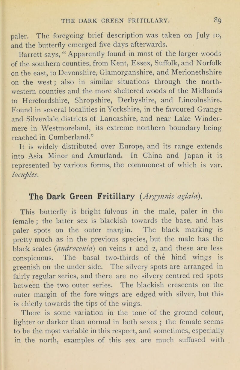 paler. The foregoing brief description was taken on July 10, and the butterfly emerged five days afterwards. Barrett says, “ Apparently found in most of the larger woods of the southern counties, from Kent, Essex, Suffolk, and Norfolk on the east, to Devonshire, Glamorganshire, and Merionethshire on the west; also in similar situations through the north- western counties and the more sheltered woods of the Midlands to Herefordshire, Shropshire, Derbyshire, and Lincolnshire. Found in several localities in Yorkshire, in the favoured Grange and Silverdale districts of Lancashire, and near Lake Winder- mere in Westmoreland, its extreme northern boundary being reached in Cumberland.” It is widely distributed over Europe, and its range extends into Asia Minor and Amurland. In China and Japan it is represented by various forms, the commonest of which is var. locuples. The Dark Green Fritillary {Argynnis agletia). This butterfly is bright fulvous ih the male, paler in the female ; the latter sex is blackish towards the base, and has paler spots on the outer margin. The black marking is pretty much as in the previous species, but the male has the black scales (androconia) on veins 1 and 2, and these are less conspicuous. The basal two-thirds of the hind wings is greenish on the under side. The silvery spots are arranged in fairly regular series, and there are no silvery centred red spots between the two outer series. The blackish crescents on the outer margin of the fore wings are edged with silver, but this is chiefly towards the tips of the wings. There is some variation in the tone of the ground colour, lighter or darker than normal in both sexes ; the female seems to be the most variable in this respect, and sometimes, especially in the north, examples of this sex are much suffused with