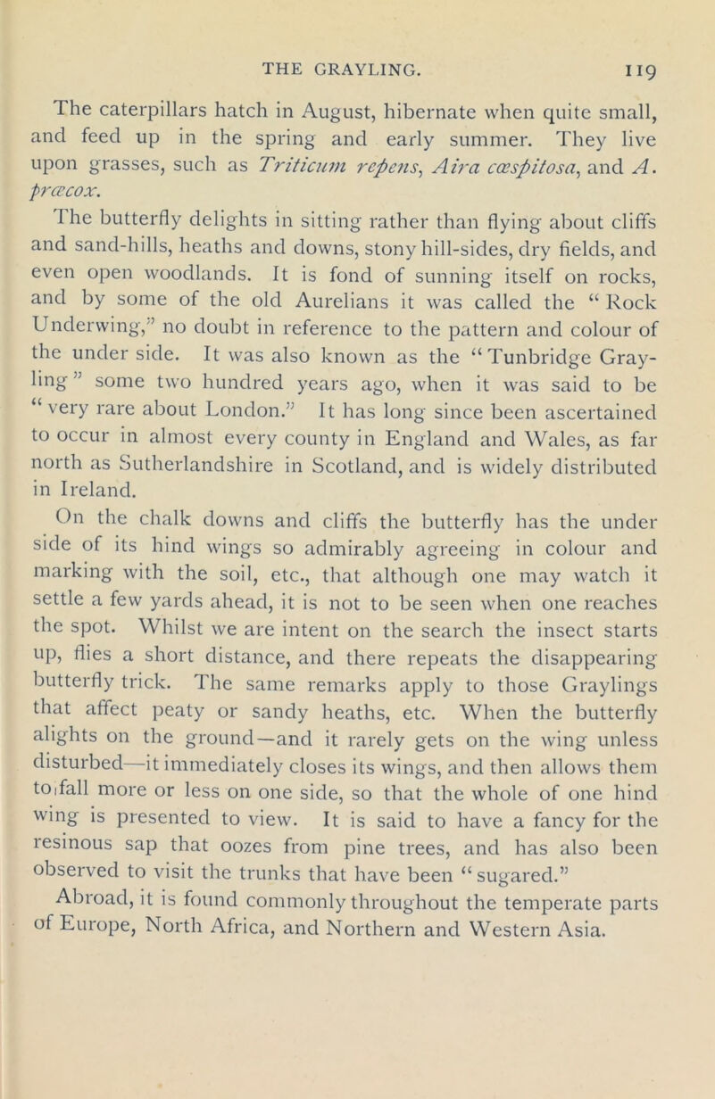The caterpillars hatch in August, hibernate when quite small, and feed up in the spring and early summer. They live upon grasses, such as Triticum repens, Air a caespitosa, and A. prcecox. I he butterfly delights in sitting rather than flying about cliffs and sand-hills, heaths and downs, stony hill-sides, dry fields, and even open woodlands. It is fond of sunning itself on rocks, and by some of the old Aurelians it was called the “ Rock Underwing,'5 no doubt in reference to the pattern and colour of the underside. It was also known as the “Tunbridge Gray- ling ” some two hundred years ago, when it was said to be “ very rare about London.” It has long since been ascertained to occur in almost every county in England and Wales, as far north as Sutherlandshire in Scotland, and is widely distributed in Ireland. On the chalk downs and cliffs the butterfly has the under side of its hind wings so admirably agreeing in colour and marking with the soil, etc., that although one may watch it settle a few yards ahead, it is not to be seen when one reaches the spot. Whilst we are intent on the search the insect starts up, flies a short distance, and there repeats the disappearing butterfly trick. The same remarks apply to those Graylings that affect peaty or sandy heaths, etc. When the butterfly alights on the ground—and it rarely gets on the wing unless disturbed—it immediately closes its wings, and then allows them to 1 fall more or less on one side, so that the whole of one hind wing is presented to view. It is said to have a fancy for the resinous sap that oozes from pine trees, and has also been observed to visit the trunks that have been “sugared.” Abroad, it is found commonly throughout the temperate parts of Europe, North Africa, and Northern and Western Asia.
