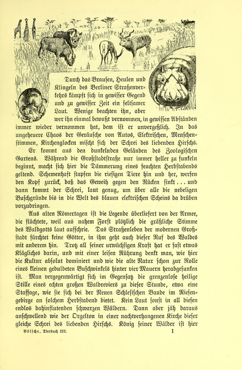 £)urch ba§> Traufen, §eulen unb klingeln be3 ^Berliner <Strafient)er= tef)x$ färnpft fich in gemiffer ©egenb unb gu gemiffer Qeit ein feltfamer £aut. Wenige beachten if)n, aber mer if)n einmal betonet Vernommen, in gemiffen 2lbftänben immer mieber öernommen ^at, bem ift er unvergeßlich- 3n ba§ ungeheuere (Sf)ao£ for @eräufche Von 5Iuto§, (Sief triften, 9ftenfcf)en^ ftimmen, ^irdhenglocfen mifd)t ficf) ber (Schrei be£ liebenben §irfd)^. (Sr fommt au3 ben bunfelnben (Mänben be§ 30ö^°^Wen ©artend. 2Bährenb bie ®roßftabtftraße nur immer heller gu funfein beginnt macht fiel) fyiev bie Dämmerung eine§ feuchten §erbftabenb3 geltenb. (Schemenhaft ftaßfen bie riefigen Stiere hin unb f)tx, merfen ben $opf gurüd, baß ba£ ®emeih gegen ben Sftücfen finft... unb bann fommt ber (Schrei, laut genug, um über alle bie nebeligen Q3ufcf)grünbe bi§ in bie SSelt be£ blauen eleftriften (Scheint ba brüben öorgubringen. 2Iu3 alten ^ömertagen ift bie Segenbe überliefert Von ber 2Irmee, bie flüchtete, meil au£ nahem gorft plötzlich bie gräßliche (Stimme be§ 2BaIbgott3 laut auffchrie. £)a3 (Straßenleben ber mobernen ®roß* ftabt fürstet feine (Götter, in ihm geht auch ^efer ^uf 2Balbe3 mit anberem hin. Stro£ all feiner urmüchfigen Straft hat er faft etma§ ®IägIicf)e3 barin, unb mit einer leifen Führung benft man, mie hier bie Kultur abfolut bominiert unb mie bie alte Statur fdjon gur SftoIIe eineg fleinen gebulbeten ^ufcßminfelg hinter Vier dauern herabgefunfen ift. Sftan Oergegenmärtigt ficb) im ®egenfa§ bie grengenlofe he^iQe (Stille eineg echten großen SßalbreVierg gu biefer (Stunbe, etma eine (Staffage, mie fie fid) bei ber Üfteuen (Schlefifcßen Baube im liefen* gebirge an foldhem ^erbftabenb bietet. $ein Saut fonft in all biefen enblog bahinflutenben fchmargen Kälbern. SDann aber jäh baraug anfchmeüenb mie ber Drgelton in einer nacf)töerhangenen Kirche biefer gleiche (Schrei beg liebenben §irfd)§. $önig feiner Sßälber ift hier