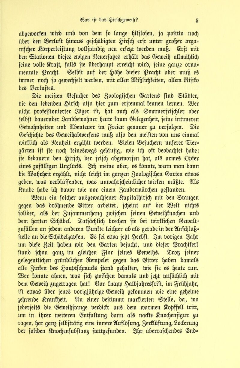 abgetoorfen toirb uttb Oon bem fo lange ^ilflofen, ja noch über ben SSerluft ^inau§ gefd)äbigten £>irfch erft unter großer orga= nifd^er Sl’örperleiftung ooEftänbig neu erfetjt toerben mujs. ©rft mit ben Stationen btefe^ einigen Üfteuerfa|e3 erhält ba3 ©etoeih allmählich feine boEe $raft, faE3 fie überhaupt erreicht toirb, feine gange orna= mentale Sßradjt. ©elbft auf ber §ö^e biefer Sßracht aber muf; e3 immer noch fo getoedhfelt toerben, mit allen Sfti&lichf eiten, allem Sfäfifo be3 S5erlufte^. Tie meiften SSefucher be£ goologifdhen ©artend finb ©täbter, bie ben lebenben £irfch alfo fyvex gurn erftenmal fennen lernen. 2öer nicht ^rofeffionierter Säger ift, h°t and) al£ ©ommerfrifdhler ober felbft bauernber Sanbbetoohner heute !aum (Gelegenheit, feine intimeren ©etoohnf)eiten unb Abenteuer im freien genauer gu berfolgen. Tie (Gefcf)ichte be§ ©etüeil)abtoerfen§ rnufs alfo ben meiften Don un£ einmal tnirflid) al§ Neuheit ergäbt ioerben. fielen 23efuchern nuferer Tier- gärten ift fie noch feineätoegS geläufig, tnie ich oft beobachtet habe: fie bebanern ben girfd), ber frifdj abgeinorfen hat, als arme£ Opfer eine§ gufäHigen Unglück. Sch meine aber, e§ fönnte, tnenn man bann bie Wahrheit ergäbt, nicht leicht im gangen goologifdjen ©arten ettoaä geben, toa§ Oerblüffenber, toa£ untoahrfdheinlicher toirfen müfjte. 5frtabe habe ich ^abor ioie bor einem gaubermärchen geftanben. 3Senn ein folcher auggetoadjfener $apitalhirfch mit ben ©tangen gegen ba§ bröhnenbe (Gitter arbeitet, fcf)eint auf ber 2Belt nichts foliber, al£ ber gufammenhang gmifcpen feinen (Getüeih^nodhen unb bem harten ©chäbet. Tatfäcfjiich brechen fie bei mirflidjen ©etoalt- gufäEen an jebent anberen fünfte leichter ab at£ gerabe in ber Enfchlufj* fteEe an bie ©d)äbetgapfen. ©3 fei ettoa je£t |>erbft. Snt hörigen Sahr um biefe geit haben Joir ben ©arten befugt, unb biefer Sßradhtterl ftanb fdjon gang im gleichen glor feinet (Getoeih^- Tro| feiner gelegentlidhen grünblichen Rempelei gegen ba§ ©itter haben bamatS alle ginfen be3 §auptfchmucf3 ftanb gehalten, ioie fie e£ heu*e tun. 2öer tonnte ahnen, toa£ fich gtoifcf)en barnalä unb je|t tatfächlicf) mit bem ©etoeih gugetragen hat! $or fnapp §albjahre§frift, im grühfahr, ift ettoa§ über jene£ borigjährige ©etoeih getommen toie eine geheime gehrenbe Trautheit. 5ln einer beftimmt marfierten ©teile, ba, too jeberfeitö bie ©etoeihftange berbicft au§ bem toarmen ^opffeE tritt, um in ihrer toeiteren ©ntfaltung bann aU nacfte $nochenfigur gu ragen, hat gang felbfttätig eine innere Sluflöfung, gertlüftung, Soderung ber foliben ^nochenfubftang ftattgefunben. Shr überrafcf)enbe£ ©nb*