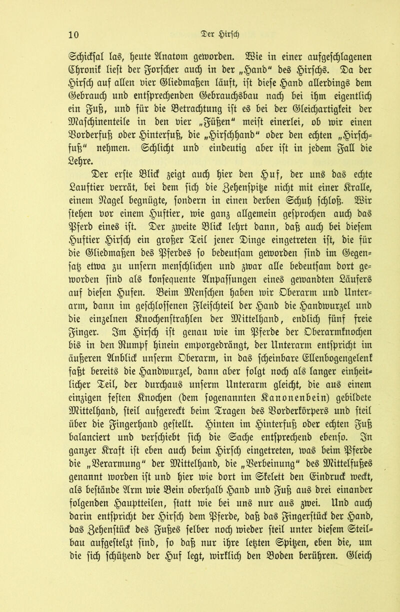 ©djidfal Ia§, tjeute Anatom gemorben. SBie in einer aufgefdjtagenen (£t)ronif Heft ber gorfdjer aud) in ber „§anb be£ §irfd)§. $)a ber |)irfd) auf allen öier @liebmafcen läuft, ift biefe §anb aHerbingS betn ©ebraud) unb entfpredjenben @ebraucl)§bau nad) bei iljm eigentlich) ein guj3, unb für bie ^Betrachtung ift e§ bei ber ©teidjartigteit ber 90?afcf)inenteile in ben t>ier „güjjen weift einerlei, ob mir einen SBorberfufj ober §interfufj, bie „§irfdjhanb ober ben echten „§irfcf)= fufj nehmen, ©cf)tidE)t unb einbeutig aber ift in jebetn galt bie Sefjre. £)er erfte 33licf geigt audj t)ier ben §uf, ber un£ ba3 ed£)te Sauftier berrät, bei bem fiel) bie 8e§enftri|e nid)t mit einer dralle, einem Sfagel begnügte, fonbern in einen berben ©djuh fdfjtofj. 2Bir flehen bor einem §uftier, mie gang allgemein gefbrodjen auch ba§ $ferb eines ift. 3)er gmeite $Blid leljrt bann, baf$ aucl) bei biefem §uftier §irfd) ein großer Xeil jener $)inge eingetreten ift, bie für bie ©liebma^en beS $ßferbeS fo bebeutfam gemorben finb im ($egen= fa| ettoa gu unfern menf etlichen unb gmar alle bebeutfam bort ge^ morben finb als fonfequente ^Inpaffungen eines gemanbten SäuferS auf biefen §ufen. SBeirn 9ftenfcf)en fyahen mir Dberarm unb Untere arm, bann im gefd)loffenen gteifchteil ber £mnb bie §anbmurgel unb bie eingelnen Shtodjenftrafjlen ber SD^ittel^anb, enblid) fünf freie ginger. 8m £)irfcl) ift genau mie im $ßferbe ber Dberarmlnoc^en bis in ben SRumüf hinein emfmrgebrängt, ber Unterarm entfprid^t im äußeren 2lnbtid unferm Dberarm, in baS fc^einbare (SHenbogengelenf fafct bereite bie §anbmurgel, bann aber folgt nodj als tanger einljeit* lieber SDeil, ber burd£)anS unferm Unterarm gleicht, bie aus einem eingigen feften $nodjen (bem fogenannten ^anonenbein) gebilbete SDUttelljanb, fteit aufgeredt beim Xragen beS SBorbertörberS unb fteit über bie gingerljanb geftellt. §inten im §interfufj ober echten gufj balanciert unb berfdjiebt fic§ bie ©aetje entfüredfjenb ebenfo. Sn ganger $raft ift eben aud) beim §irfd) eingetreten, maS beim Sßferbe bie „Verarmung ber SDUttelljanb, bie „SBerbeinung beS SftittetfufjeS genannt morben ift unb l)ier mie bort im ©fetett ben (Sinbrud medt, als beftänbe 5lrm mie S5ein oberhalb ^panb unb gufj auS brei einanber fotgenben §auf)tteiten, ftatt mie bei unS nur auS gmei. Unb aud) barin entfprid^t ber girfch bem Sßferbe, bafj baS gingerftüd ber §anb, baS 3e^enftüd beS gujjeS felber nod) mieber fteit unter biefem ©teil* bau aufgeftelgt finb, fo bafj nur if)re testen ©pi^en, eben bie, um bie fid) fcftü^enb ber $uf legt, mirflidb) ben SBoben berühren. ®ieidj