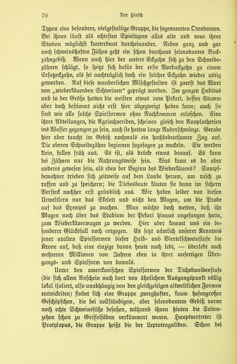 $D)ben eine befonbere, öietgeftaltige ©rubbe, bte fogenannten Dreobonten. $Bei ihnen läuft al3 edjteften <SpieBtt)^>ett ade£ alte unb neue ihrer ©tation möglidhft funterbunt burtfjetnanber. üfteben gang unb gar nod) fc^tnein§^aften gü^en get)t ein fcfjon burcf)au§ felenobonteg 33acf= gahngebifj. Sßenn auch tjier ber untere ©dgaljn ficf) gu ben ©dfjneibe* gähnen fdhlägt, fo fpi^t fiel) bafür ber erfte 2k>rbacfgaf)n gu einem ©rfa|ecfgal)n, als fei nachträglich bodf) ein foldher ©dgaljn mieber nötig getoorben. Auf biefe tounberlidEjen SJäfchgeftalten ift guerft ba§ 2Bort öon „mieberfäuenben ©cl)toeinen geprägt toorben. 3m gangen §abitu£ unb in ber ©röfje hatten bie meiften etmaS bom Sßefari, beffen ©tamm aber bodj beftimmt nict)t erft f)ier abgegtoeigt ^aben !ann; auch fie finb ioie alle foXcf)e ©bielformen ot)ne d?acf)fommen erfofdjen. ©ine ihrer Abteilungen, bie Agriodjoeriben, fct)einen gleich ben Anoblotf)erien inS Söaffer gegangen gu fein, auct) fie Ratten lange $Ruberfd)toänge. ©erabe §ier aber taucht im ©ebift nochmals ein f)od)bebeutfamer $ug auf. ®ie oberen ©djneibegähne beginnen fogufagen gu macfeln. ©ie toerben flein, fallen früh auS. ©S ift, als brücfe etmaS barauf. ©S fann bei 3^nen nur bie dtaf)rungSmeife fein. 2öaS fann eS ba aber anbereS getoefen fein, als eben ber beginn beS SSieberf äuenS ? ©umbf- bemo^ner trieben fiel) geitmeife auf bem £anbe herum, um rafdh gu raffen unb gu fpeidjern; bie £)iebeSbeute läuten fie bann im fidjern Sßerfted nachher erft grünblich auS. SBir haben leiber bon biefen Urtoeltlern nur baS ©felett unb nidjt ben Stagen, um bie $ßrobe auf baS ©jempel gu machen. 9ftan möchte bocl) metten, bafj if)r dftagen nod) über baS ©tabium ber Sßefari f)inau§ angefangen ljatte, gum SBieberfäuermagen gu foerben. §ier aber fommt unS ein be= fonberer ©lücfSfad nod) entgegen. ©S fet$t nämlich unferer Kenntnis jener uralten ©bielformen biefer §alb= unb $Biertelfcl)tüeinftufe bie ®rone auf, baf$ eine einzige baoon heute nocf) lebt, — überlebt nad) mehreren Millionen bon Sohren eben in ihrer unfertigen Über* gangS^ unb ©bielform bon barnalS. Unter ben amerifanifcljen ©bielformen ber £)icl)obunibenfiufe (bie fid) adern Anfdjein nad) bort bon ähnlichem AuSgangSbunft bödig lofal ifoliert, alfo unabhängig bon ben gleichzeitigen altmeltlid)en gormen entmidelten) finbet fid) eine ©rubbe gtoerghafter, faum hafengrojger ©efdf)öbfd)en, bie bei bodftänbigem, aber felenobontem ©ebif$ borne nod) ecf)te ©chtoeinSfüfie befaßen, tüäfjrenb ihnen b*e ®eiten^ gehen fd)on gu ©riffelfäben berfümmert toaren. §aubtbertreter ift $ßrott)tobuS, bie ©rubbe l)ei^t bie ber Sebtotraguliben. ©d)on bei