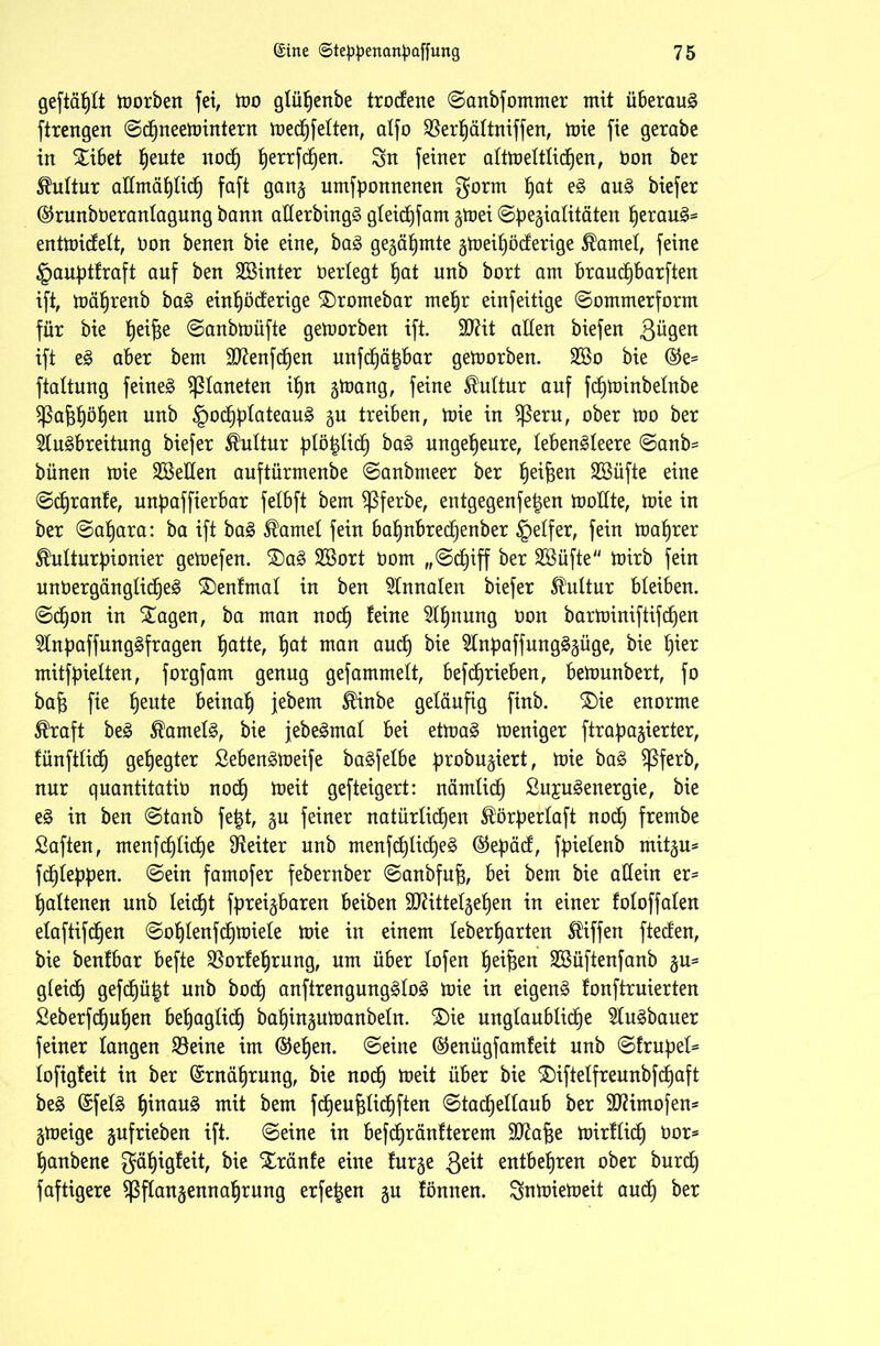 geftählt toorben fei, too glühenbe trocfene ©anbfommer mit überaus ftrengen ©dhneetointern toedhfelten, alfo SBerhältniffen, tote fie gerabe in Stibet ^eute noch tjerrfd^en. Sn feiner alttoeltlidhen, Don ber Kultur allmählich faft gan^ umfponnenen gorm ^at eS aus biefer (SJrunbOeranlagung bann allerbingS gleid6)fam gtoei Genialitäten heraus* enttoidfelt, Don benen bie eine, baS geahmte ntoei^öcferige tarnet, feine §au:ptfraft auf ben hinter Derlegt hat nnb bort am brauchbaren ift, toährenb baS eintjöcferige $)romebar mehr einfeitige ©ommerform für bie fyeifje ©anbtoüfte getoorben ift. ÜD?it allen biefen 3^gen ift eS aber bem ä)7enfd§en unfehlbar getoorben. 2So bie (§5e= ftaltung feinet Planeten ihn gtoang, feine Kultur auf fd)toinbetnbe Sßafjhöhen nnb £)od^tateau£ 5U treiben, toie in $ßeru, ober too ber Ausbreitung biefer Kultur plö^lidh baS ungeheure, lebenSleere ©anb= bünen toie Sßeüen auftürmenbe ©anbmeer ber ^ei^en Söüfte eine ©chranfe, unpaffierbar felbft bem ^ßferbe, entgegenfe^en toollte, toie in ber ©af)ara: ba ift baS tarnet fein batjnbred^enber §elfer, fein toaf)rer ^ulturftionier getoefen. £)aS 2$ort Dom „©chiff ber Söüfte toirb fein unDergänglidf)eS SDenfmal in ben Annalen biefer SMtur bleiben. ©d§on in STagen, ba man noct) feine Ahnung Don bartoiniftifdbjen AnpaffungSfragen §atte, hat man andh bie AnftaffnngSgüge, bie hier mitffrielten, forgfam genug gefammelt, befdjrieben, betounbert, fo bafj fie ^ente beinah jebem $inbe geläufig finb. $)ie enorme $raft beS Kamels, bie jebeSmal bei ettoaS toeniger ftrafta§ierter, fünftlidh gehegter SebenStoeife baSfelbe probu^iert, toie baS Sßferb, nur quantitatio noch toeit gefteigert: nämlich ßnjuSenergie, bie eS in ben ©taub fe|t, §u feiner natürlichen Eörperlaft nodb) frembe Saften, menfd)lid£)e Leiter nnb menfc^li^eS ®epäcf, fpielettb mit^u* fehleren. ©ein famofer febernber ©anbfuf3, bei bem bie allein er- fjaltenen nnb leicht f{?r eßbaren beiben ÜD?itteIgebjen in einer foloffalen elaftifcljen ©ohlenfdhtoiele toie in einem leberf)arten Riffen ftedfen, bie benfbar befte $orfel)rung, um über lofen heifjen Sßüftenfanb §u* gleidb) gefegt nnb bodb) anftrengungSloS toie in eigens fonftruierten Seberfdjuhen beb)aglidb) ba^ingutoanbeln. £)ie unglaubliche AuSbauer feiner langen Sßeine im ©eben, ©eine ©enügfamfeit nnb ©frupel* lofigfeit in ber Ernährung, bie noch toeit über bie £)iftelfreunbfdhaft beS @felS h^auS mit bem fdb)eu^lidt)ften ©tadbiellaub ber 907imofen- gtoeige gufrieben ift. ©eine in befchränfterem 9ftaf3e toirllidb) Dor* hanbene gähigfeit, bie Xränfe eine fur^e 3eit entbehren ober burdh faftigere ^ßflan^ennahrung erfe^en §n fönnen. Sntoietoeit audh ber