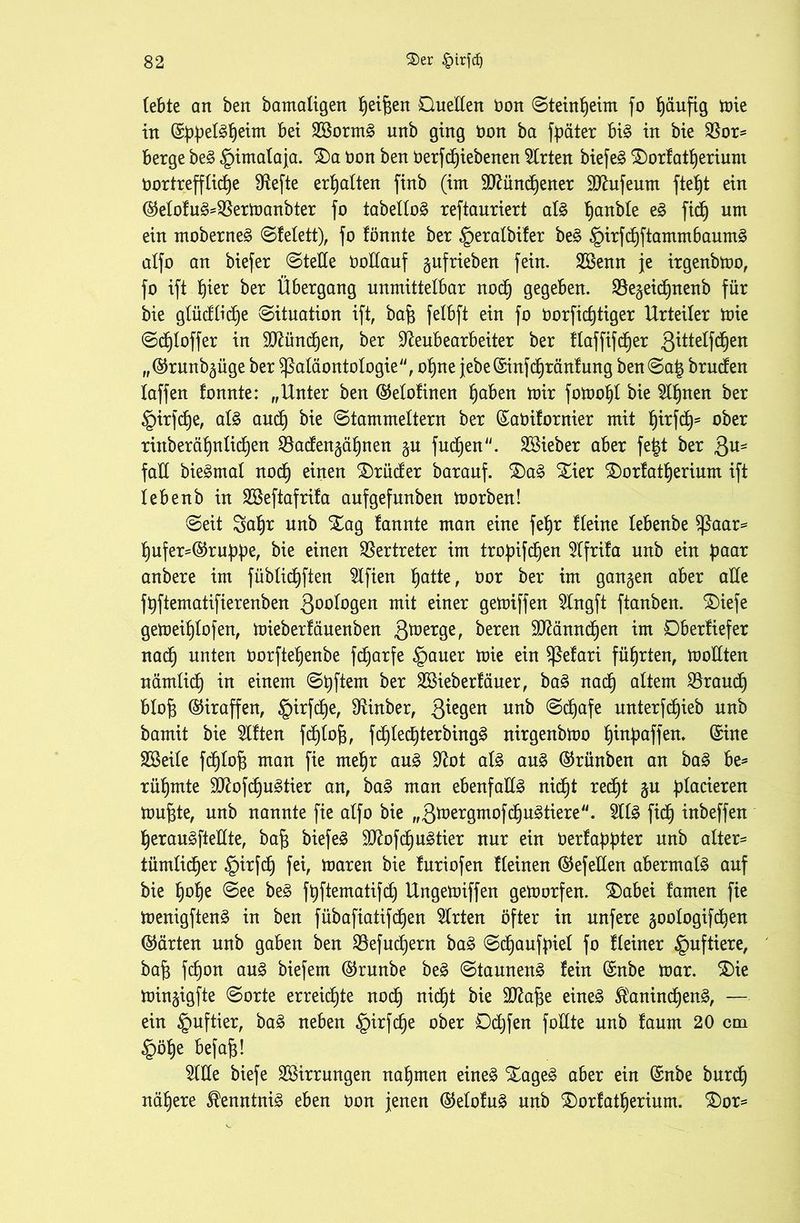 lebte an ben bamaligen t)eif$en Quellen Oon ©teintjeim fo fjäufig mie in (Sppel3t)eim bei 2öorm3 unb ging Oon ba fpäter bi3 in bie $or* berge be3 §imalaja. ®a oon ben öerfdjiebenen Wirten biefe§ £)orfatf)erium bortrefflidje fRefte erhalten finb (im Sftündjener dftufeum ftefjt ein ©elofu^SBermanbter fo tabello^ reftauriert als Ijanble eä fidj um ein moberne§ ©felett), fo fönnte ber ^eralbiler be§ §irfd)ftammbaum£ alfo an biefer ©teile boilauf gufrieben fein. Sßenn je irgenbmo, fo ift pier ber Übergang unmittelbar nod) gegeben. SSegeidjnenb für bie glüdlidje Situation ift, bajg felbft ein fo Oorfidjtiger Urteiler mie ©djloffer in dftündjen, ber ddeubearbeiter ber daffifdjer ßütelfd^en „©runbgüge ber Paläontologie, ofjne jebe(Sinfd)ränfung ben©a£ brucfen taffen fonnte: „Unter ben ©etofinen fjaben mir fomofjt bie 2U)nen ber §irfd)e, als and) bie ©tammeitern ber (Saöifornier mit fjirfd)- ober rinberäf)nlid)en $8adengäl)nen gu fudjen. lieber aber fe£t ber Qu* fall bieSmal nod) einen Brüder barauf. £)a3 $£ier £)ortatI)erium ift lebenb in SSeftafrifa aufgefunben morben! ©eit 3af)r unb Xag fannte man eine fef)r deine lebenbe Paar* pufer=©ruppe, bie einen Vertreter im tropifd)en 5lfrifa unb ein paar anbere im füblidjften Elften Ijatte, oor ber im gangen aber ade fpftematifierenben 300^9eit mit einer gemiffen Slngft ftanben. £>iefe gemeif)lofen, mieberläuenben S^erge, bereu 9Mnnd)en im Qberfiefer nad) unten Oorftel)enbe fc^arfe §auer mie ein Pefari führten, modten nämlid) in einem ©pftem ber SBieberfäuer, ba£ nad) altem $raud) blof) ©iraffen, §irfd)e, SUnber, 3^e9ett m& ©djafe unterfd)ieb unb bamit bie eilten fdjlof;, fd)Ied)terbing3 nirgenbmo fjinpaffen. (Sine Sßeile fdjtof) man fie rneljr au£ £Rot al% au§> ©rünben an ba£ he* rühmte dftofdjuStier an, baS man ebenfadS nid)t red)t gu placieren mujgte, unb nannte fie alfo bie „3ttergmofdatiere. $It£ fid^ inbeffen l)erau£ftedte, bajg biefeS 9Jfofd)u£tier nur ein ^ertappter unb alter- tümlidjer §irfd) fei, maren bie f uriofen deinen ©efeden abermals auf bie f)of)e ©ee be£ fpftematifd) Ungemiffen gemorfen. $)abei tarnen fie menigftenS in ben fübafiatifdjen Wirten öfter in unfere goologifdjen ©arten unb gaben ben $efud)ern baS ©d)aufpiel fo deiner Huftiere, baf) fdjon au£ biefem ©ntnbe be£ Staunend fein ©nbe mar. ®ie mingigfte ©orte erreichte nod) nid^t bie äftafte eines ®anind)enS, — ein §uftier, baS neben §irfd)e ober Ddjfen fodte unb faum 20 cm §öf)e befahl 5lde biefe Sßirrungen nahmen eines XageS aber ein ©nbe burd) nähere Kenntnis eben öon jenen ©etofuS unb £)orfatf)erium. 3)or=