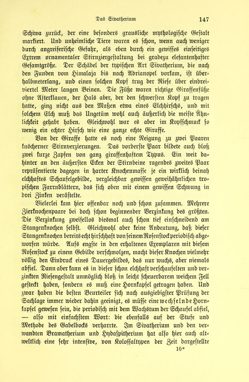 Sdjima gurücf, ber eine befonberS grau§lid)e mütBologifd)e ®eftalt marfiert. Unb unt)eimUd)e Xiere maren e§ fdfyon, menn audB Weniger burd) angreiferifdBe ^efa^r, al3 eben burd) ein gemiffen einfeitige^ @£trem ornamentaler Stirngiergeftaltung Bei grabegu elefantenfjafter ©efamtgrö^e. 3)er ScBäbel ber tt)Bifcf)en 2frt SibatBerium, bie nad) ben gunben Oom Himalaja bi£ nad) 2lbrianopeI borfam, ift über* tjalBmeterlang, unb einen folgen $of>f trug ber fRiefe über einbrei* biertel Steter langen deinen. $)ie güfje maren richtige ©iraffenfü^e o^ne Slfterflauen, ber §al§ aber, ber ben fcfjmerften $obf gu tragen Batte, ging nidjt au§ ben SJtafsen etma eine§ ©IcBBUfd^, unb mit foldBem @(d) mufi ba§ Ungetüm moBl aud) äufjerlid) bie rneifte lidBfeit gehabt Baben. @leid)moBl mar e§ aber im $of)ffcBmud fo menig ein ed6)ter §irfd) mie eine gange edBte (Giraffe. $Bon ber (Giraffe Batte e3 nodB eine Neigung gu gtoei paaren fnöd)erner Stirnbergierungen. $)a3 borberfte $ßaar bilbete audB blofj gtoei furge 3aPfen öon Qang giraffenBaftem Xüf>u§. ®in toeit ba= Binter an ben äufterften @den ber (Stirnbeine ragenbe£ gmeiteä $ßaar repräfentierte bagegen in harter ^nodBenmaffe je ein mirflidB BeinaB eld)Bafte3 ScBaufelgebilbe, t>ergleicf)bar gemiffen getoeiBäBnlidBen tro= bifd)en garrnblättern, ba3 fidB oben mit einem gemiffen ScBmung in brei 3™fert beräftelte. Vielerlei fam Bier offenbar nod) unb fcBon gufammen. SfteBrere 3ier!nocBenf)aare bei bocf) fdBon beginnenber SBerginfung be3 größten. 2)ie SBerginfung gmeifelIo£ biegmal audB fc£)on tief einfcBneibenb am Stangenfnod)en felbft. ®leicBtooBl aber feine Einbeulung, baf$ biefer StangenfnocBen bereite ed)tBirfdBBctft Oon feinem fRofenftod ^eriobif dB abge* morfen mürbe. Elufg engfte in ben erBaltenen (Sjemblaren mit biefem Sftofenftod gu einem ®ebilbe berfcBmotgen, madBt biefer ®nod)en oielmeBr böEig ben ©inbrud eineg £)auergebilbeg, bag nur mudB§, aber niemals abfiel. £)ann aber fann eg in biefer fd)on e!c£)Baft behäufelten unb ber* ginften fRiefengeftalt unmöglicB blof$ in leidet fcBeuerbarem meinem ged geftedft Baben, fonbern eg muf$ eine ^ornfapfel getragen Baben. Unb gmar Baben bie beften ^Beurteiler fidB auggiebigfter Prüfung ber SadBlage immer mieber baBin geeinigt, eg müffe einemecBfelnbe§orn* fapfel gemefen fein, bie periobifcB mit bem SßadB^tum ber SdBaufel abfiel, — alfo mit einfadBftem Sßort: bie ebenfalls auf ber Stufe unb StRetBobe beg @abelbodg OerBarrte. 3m SiOatBerium unb ben ber* manbten SBramatBerium unb §übafbitBerium Bat alfo Bier audB alt= meltlid) eine feBr intenfibe, bon 5bloffaltt$en ber 3e^ bargefteHte 10*