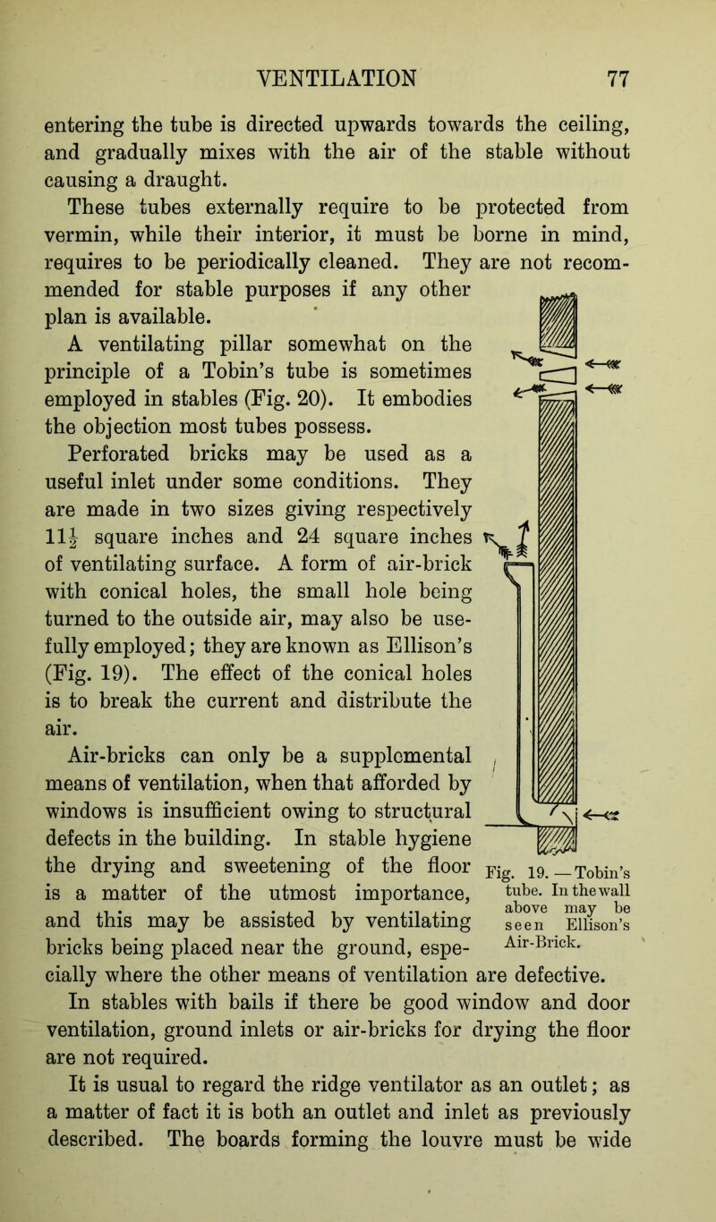 <r-W entering the tube is directed upwards towards the ceiling, and gradually mixes with the air of the stable without causing a draught. These tubes externally require to be protected from vermin, while their interior, it must be borne in mind, requires to be periodically cleaned. They are not recom- mended for stable purposes if any other plan is available. A ventilating pillar somewhat on the principle of a Tobin’s tube is sometimes employed in stables (Fig. 20). It embodies ^ the objection most tubes possess. Perforated bricks may be used as a useful inlet under some conditions. They are made in two sizes giving respectively 11J square inches and 24 square inches k ^ of ventilating surface. A form of air-brick with conical holes, the small hole being turned to the outside air, may also be use- fully employed; they are known as Ellison’s (Fig. 19). The effect of the conical holes is to break the current and distribute the air. Air-bricks can only be a supplemental means of ventilation, when that afforded by windows is insufficient owing to structural defects in the building. In stable hygiene the drying and sweetening of the floor is a matter of the utmost importance, and this may be assisted by ventilating bricks being placed near the ground, espe- cially where the other means of ventilation are defective. In stables with bails if there be good window and door ventilation, ground inlets or air-bricks for drying the floor are not required. It is usual to regard the ridge ventilator as an outlet; as a matter of fact it is both an outlet and inlet as previously described. The boards forming the louvre must be wide Fig. 19.—Tobin’s tube. In the wall above may be seen Ellison’s Air-Brick.