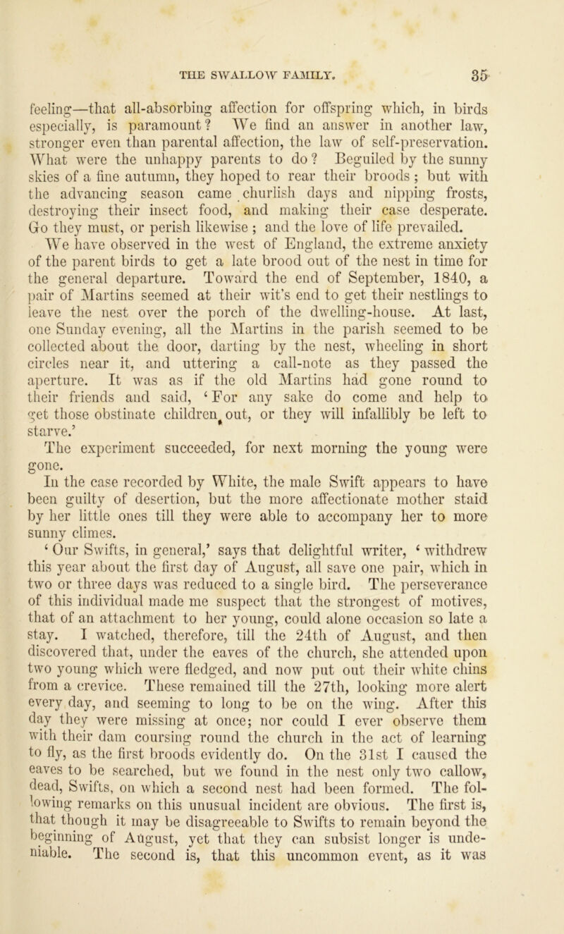 feeling—that all-absorbing affection for offspring which, in birds especially, is paramount? We find an answer in another law, stronger even than parental affection, the law of self-preservation. What were the unhappy parents to do ? Beguiled by the sunny skies of a fine autumn, they hoped to rear their broods ; but with the advancing season came churlish days and nipping frosts, destroying their insect food, and making their case desperate. Go they must, or perish likewise ; and the love of life prevailed. We have observed in the west of England, the extreme anxiety of the parent birds to get a late brood out of the nest in time for the general departure. Toward the end of September, 1840, a |)air of Martins seemed at their wit’s end to get their nestlings to leave the nest over the porch of the dwelling-house. At last, one Sunday evening, all the Martins in the parish seemed to be collected about the door, darting by the nest, wheeling in short circles near it, and uttering a call-note as they passed the aperture. It was as if the old Martins had gone round to their friends and said, ‘ For any sake do come and help to get those obstinate children^ out, or they will infallibly be left to starve.’ The experiment succeeded, for next morning the young were gone. In the case recorded by White, the male Swift appears to have been guilty of desertion, but the more affectionate mother staid by her little ones till they were able to accompany her to more sunny climes. ‘ Our Swifts, in general,’ says that delightful writer, ‘ withdrew this year about the first day of August, all save one pair, which in two or three days was reduced to a single bird. The perseverance of this individual made me suspect that the strongest of motives, that of an attachment to her young, could alone occasion so late a stay. I watched, therefore, till the 24th of August, and then discovered that, under the eaves of the church, she attended upon two young which were fledged, and now put out their white chins from a crevice. These remained till the 27th, looking more alert every day, and seeming to long to be on the wing. After this day they were missing at once; nor could I ever observe them with their dam coursing round the church in the act of learning to fly, as the first broods evidently do. On the 31st I caused the eaves to be searched, but we found in the nest only two callow, dead. Swifts, on which a second nest had been formed. The fol- lowing remarks on this unusual incident are obvious. The first is, that though it may be disagreeable to Swifts to remain beyond the beginning of August, yet that they can subsist longer is unde- niable. The second is, that this uncommon event, as it was
