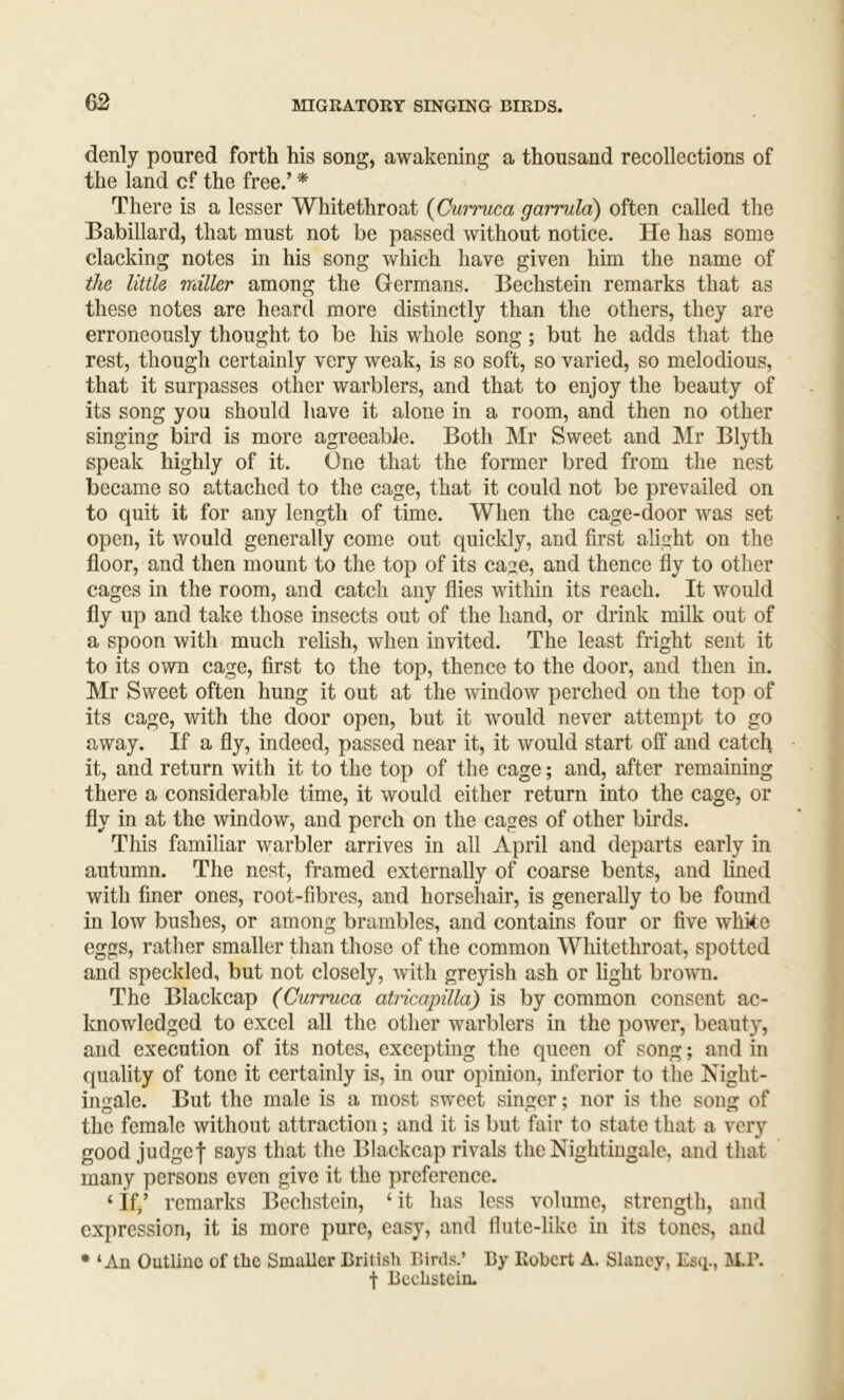 denly poured forth his song, awakening a thousand recollections of the land cf the free.’ * There is a lesser Whitethroat {Curruca garruld) often called the Babillard, that must not be passed without notice. He has some clacking notes in his song which have given him the name of the little miller among the Germans. Bechstein remarks that as these notes are hearcl more distinctly than the others, they are erroneously thought to be his whole song; but he adds that the rest, though certainly very weak, is so soft, so varied, so melodious, that it surpasses other warblers, and that to enjoy the beauty of its song you should have it alone in a room, and then no other singing bird is more agreeable. Both Mr Sweet and Mr Blyth speak highly of it. One that the former bred from the nest became so attached to the cage, that it could not be prevailed on to quit it for any length of time. When the cage-door was set open, it would generally come out quickly, and first alight on the floor, and then mount to the top of its cage, and thence fly to other cages in the room, and catch any flies within its reach. It would fly up and take those insects out of the hand, or drink milk out of a spoon with much relish, when invited. The least fright sent it to its own cage, first to the top, thence to the door, and then in. Mr Sweet often hung it out at the window perched on the top of its cage, with the door open, but it would never attempt to go away. If a fly, indeed, passed near it, it would start off and catch it, and return with it to the top of the cage; and, after remaining there a considerable time, it would either return into the cage, or fly in at the window, and perch on the cages of other birds. This familiar warbler arrives in all April and departs early in autumn. The nest, framed externally of coarse bents, and lined with finer ones, root-fibres, and horsehair, is generally to be found in low bushes, or among brambles, and contains four or five whke eggs, rather smaller than those of the common Whitethroat, spotted and speckled, but not closely, with greyish ash or light brown. The Blackcap (Curruca atricapilla) is by common consent ac- knowledged to excel all the other warblers in the power, beauty, and execution of its notes, excepting the queen of song; and in quality of tone it certainly is, in our opinion, inferior to the Night- ingale. But the male is a most sweet singer; nor is the song of the female without attraction; and it is but fair to state that a very good judgef says that the Blackcap rivals the Nightingale, and that many persons even give it the preference. ‘ If/ remarks Bechstein, ‘ it has less volume, strength, and expression, it is more pure, easy, and flute-like in its tones, and * ‘An Outline of tlie Smaller British Birds.’ By Kohert A. Slancy, Esq., M.B. f Bechstein.