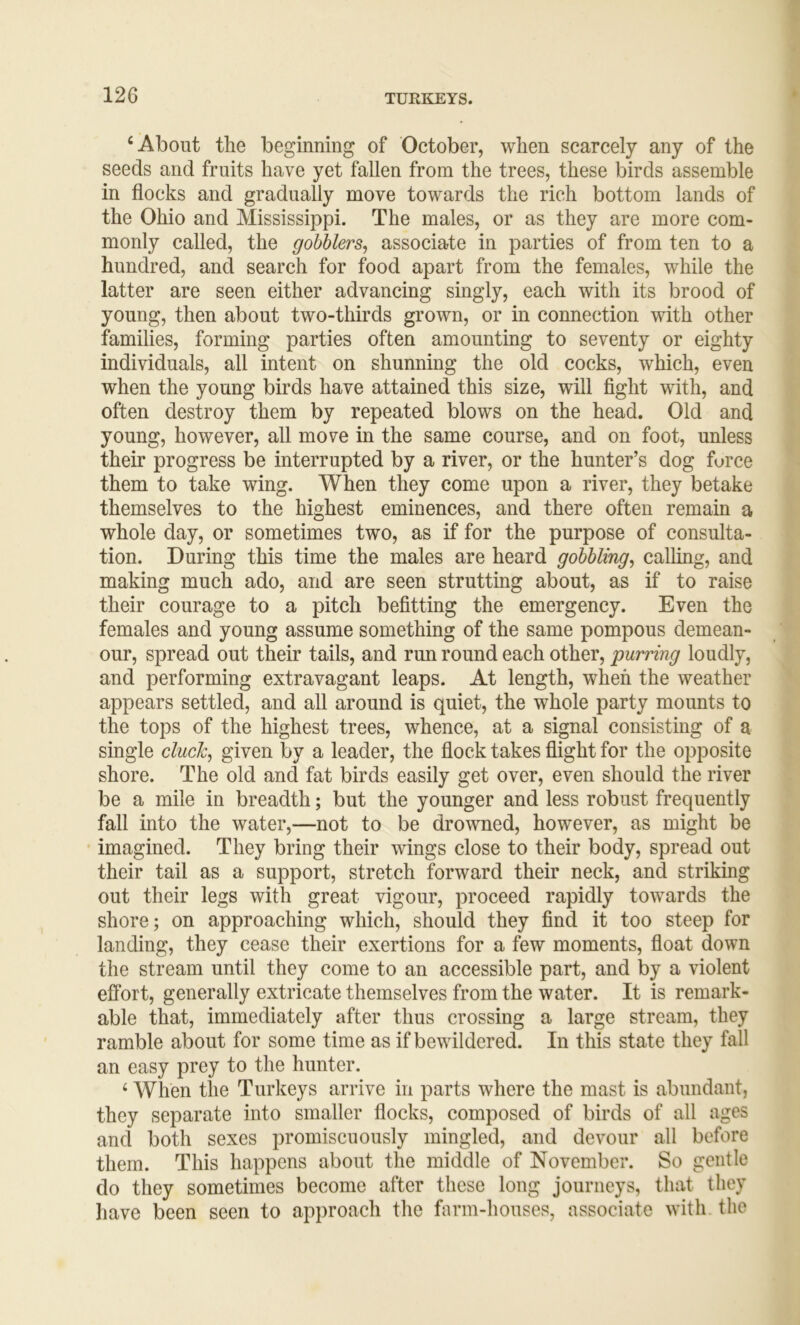 ‘About the beginning of October, when scarcely any of the seeds and fruits have yet fallen from the trees, these birds assemble in flocks and gradually move towards the rich bottom lands of the Ohio and Mississippi. The males, or as they are more com- monly called, the gobblers, associate in parties of from ten to a hundred, and search for food apart from the females, while the latter are seen either advancing singly, each with its brood of young, then about two-thirds grown, or in connection with other families, forming parties often amounting to seventy or eighty individuals, all intent on shunning the old cocks, which, even when the young birds have attained this size, will fight with, and often destroy them by repeated blows on the head. Old and young, however, all move in the same course, and on foot, unless their progress be interrupted by a river, or the hunter’s dog force them to take wing. When they come upon a river, they betake themselves to the highest eminences, and there often remain a whole day, or sometimes two, as if for the purpose of consulta- tion. During this time the males are heard gobbling, calling, and making much ado, and are seen strutting about, as if to raise their courage to a pitch befitting the emergency. Even the females and young assume something of the same pompous demean- our, spread out their tails, and run round each other, purring loudly, and performing extravagant leaps. At length, when the weather appears settled, and all around is quiet, the whole party mounts to the tops of the highest trees, whence, at a signal consisting of a single duck, given by a leader, the flock takes flight for the opposite shore. The old and fat birds easily get over, even should the river be a mile in breadth; but the younger and less robust frequently fall into the water,—not to be drowned, however, as might be imagined. They bring their wings close to their body, spread out their tail as a support, stretch forward their neck, and striking out their legs with great vigour, proceed rapidly towards the shore; on approaching which, should they find it too steep for landing, they cease their exertions for a few moments, float down the stream until they come to an accessible part, and by a violent effort, generally extricate themselves from the water. It is remark- able that, immediately after thus crossing a large stream, they ramble about for some time as if bewildered. In this state they fall an easy prey to the hunter. ‘ When the Turkeys arrive in parts where the mast is abundant, they separate into smaller flocks, composed of birds of all ages and both sexes promiscuously mingled, and devour all before them. This happens about the middle of November. So gentle do they sometimes become after these long journeys, that they have been seen to approach the farm-houses, associate with the