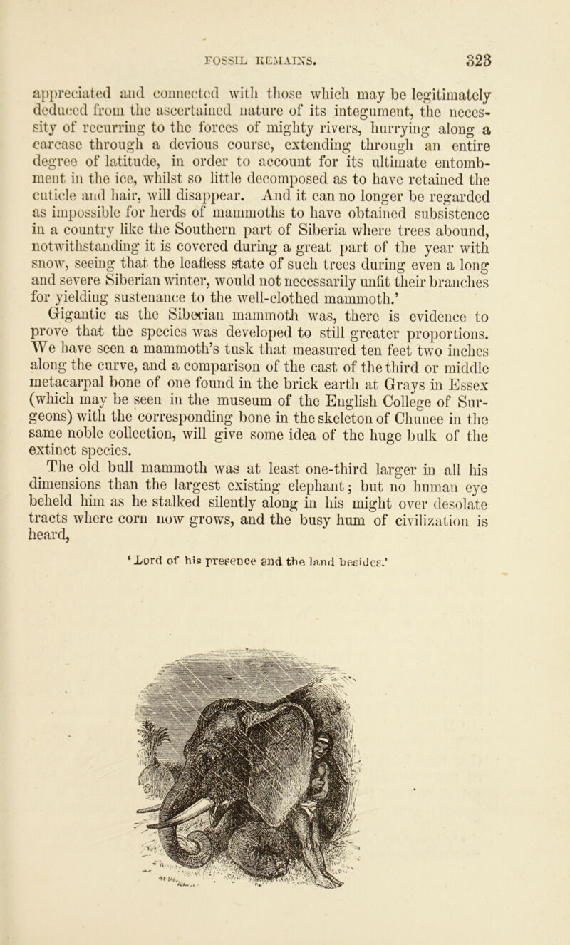 appreciated and connected with those which may be legitimately dediKjed from the ascertained nature of its integument, the neces- sity of recurring to the forces of mighty rivers, hurrying along a carcase through a devious course, extending through an entire degree of latitude, in order to account for its ultimate entomb- ment in the ice, whilst so little decomposed as to have retained the cuticle and hair, will disappear. And it can no longer be regarded as impossible for herds of mammoths to have obtained subsistence in a country like the Southern part of Siberia where trees abound, notwithstanding it is covered during a great part of the year with snow, seeing that the leafless state of such trees during even a long and severe Siberian winter, would not necessarily unfit their branches for yielding sustenance to the well-clothed mammoth.’ Gigantic as the Siboi’ian mammotli was, there is evidence to prove that the species was developed to still greater proportions. We have seen a mammoth’s tusk that measured ten feet two inches along the curve, and a comparison of the cast of the third or middle metacarpal bone of one found in the brick earth at Grays in Essex (which may be seen in the museum of the English College of Sur- geons) with the‘corresponding bone in the skeleton of Chunee in the same noble collection, will give some idea of the huge bulk of the extinct species. ^ The old bull mammoth was at least one-third larger m all his dimensions than the largest existing elephant; but no human eye beheld him as he stalked silently along in his might over desolate tracts where corn now grows, and the busy hum of civilization is heard, ‘Lord of his presence end the land hegidcF.’