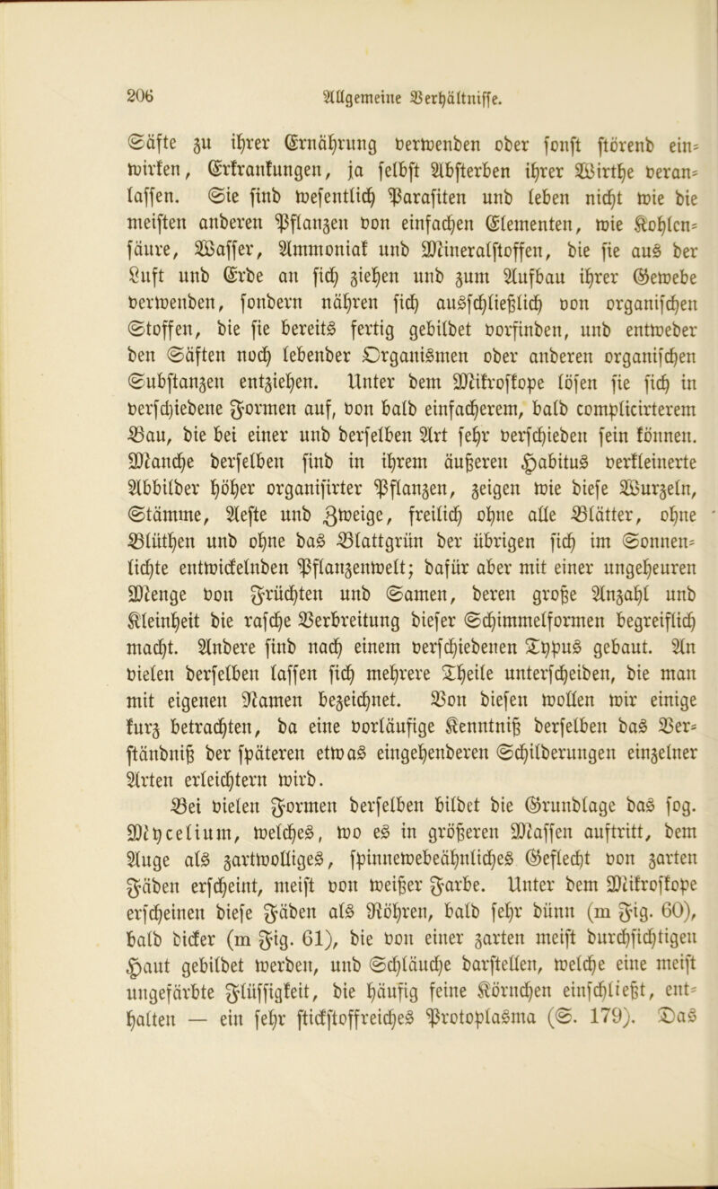 Slllgemeine SBerfyältniffe. 0äfte gu ihrer (Ernährung Oertnenben ober fonft ftörenb ein- mirlen, (Erlranfungen, ja fetbft Slbfterben ihrer Sirt^e neran- (affen, ©ie finb mefentlid) Parafiten unb (eben nid)t mie bie meiften anberen Spangen non einfachen (Zementen, mie ftohlcn- fäure, Saffer, 2(mmonia! unb üOiineralftopen, bie fie auS ber 8uft unb (Erbe au fid) gieren unb gum Aufbau ihrer ®emebe Oermenben, fonbevn nähren fid) auSfdpießlid) non organifdjen ©(offen, bie fie bereite fertig gebilbet Oorfinben, unb entmeber ben ©äften nodj (ebenber Organismen ober anberen organifdjen ©ubftangen entgieljen. Unter bem SWifroffope (Öfen fie fid) in nerfdpebene formen auf, non ba(b einfacherem, ba(b complicirterem 53au, bie bei einer unb berfeiben 2lrt feb)r üerfc^ieben fein fönnen. SQ^and^e berfe(ben finb in ihrem äußeren |jabituS oerfleinerte 5lbbilber h^her organifirter Spangen, geigen mie biefe 5öurge(n, ©tämme, riefte unb gmeige, freilich ohne ade 53(ätter, ohne 53(ütf)en unb ohne baS 53(attgrün ber übrigen fich im ©onnen- (ichte entmidetnben PPangenmett; bafür aber mit einer ungeheuren äflenge non grüßten unb ©amen, bereu große 2lngalj( unb Kleinheit bie rafdje Verbreitung biefer ©d)imme(formen begreiflich macht. Rubere finb nach einem nerfdjiebenen £ppuS gebaut. 2ln nieten berfeiben (affen pp) mehrere Zfyite unterfReiben, bie man mit eigenen tarnen begeidjnet. Von biefen moden mir einige furg betrauten, ba eine oortäupge ^enntniß berfelben baS Ver- ftänbniß ber fpäteren etmaS eingeljenberen ©chdberungen eingelner Hrten erleichtern mirb. Vei nieten formen berfelben bitbet bie ®runb(age baS fog. üDfpcelium, me(d)eS, mo eS in größeren Staffen auftritt, bem 5luge a(S gartmodigeS, fpinnemebeähntidjeS ©efledp non garten gäben erfdjeint, nteift non meißer garbe. Unter bem 3)ti!rof!ope erfdjeinen biefe gäben a(S Röhren, halb fehr bünn (m gig. 60), ba(b bider (m gig. 61), bie non einer garten meift burdjfidjtigeu £>aut gebilbet merben, unb ©djläudje barfteden, meld)e eine meift ungefärbte glüffigfeit, bie häufig feine törndjen einfdpießt, ent- halten — ein fehr ftidftoffreidjeS Protoplasma (©. 179). £)aS