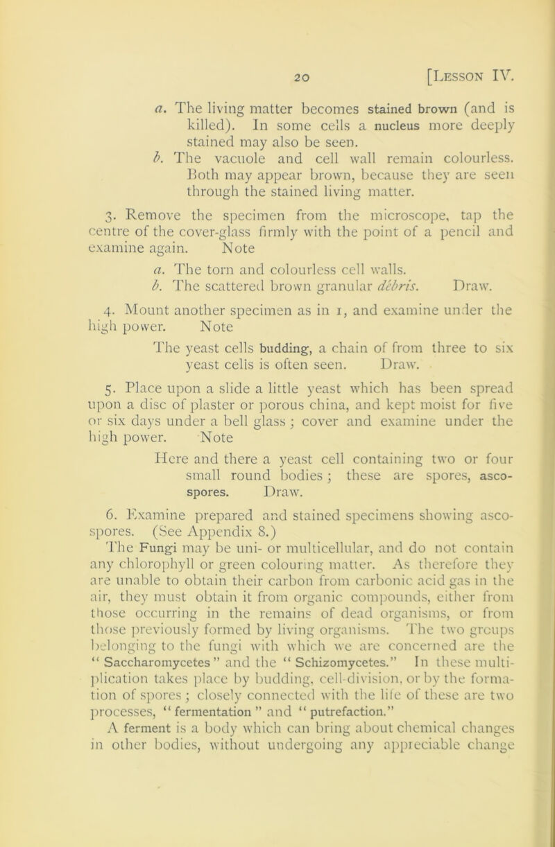 a. The living matter becomes stained brown (and is killed). In some cells a nucleus more deeply stained may also be seen. b. The vacuole and cell wall remain colourless. both may appear brown, because they are seen through the stained living matter. 3. Remove the specimen from the microscope, tap the centre of the cover-glass firmly with the point of a pencil and examine again. Note a. The torn and colourless cell walls. b. The scattered brown granular debris. Draw. 4. Mount another specimen as in i, and examine under the high power. Note The yeast cells budding, a chain of from three to six yeast celis is often seen. Draw. 5. Place upon a slide a little yeast which has been spread upon a disc of plaster or ])orous china, and kept moist for five or six days under a bell glass ; cover and examine under the high power. Note Here and there a yeast cell containing two or four small round bodies; these are spores, asco- spores. Draw. 6. Examine prepared and stained specimens showing asco- spores. (See Appendix 8.) The Fungi may be uni- or multicellular, and do not contain any chlorophyll or green colouring matter. As therefore they are unable to obtain their carbon from carbonic acid gas in the air, they must obtain it from organic com])Ounds, either from those occurring in the remains of dead organisms, or from those jireviously formed by living organisms. 'I'he two groups belonging to the fungi with which we are concerned are the “ Saccharomycetes ” and the “ Schizomycetes.” In these multi- ])lication takes jdacc by budding, cell-division, or by the forma- tion of spores; closely connected with the life of these are two processes, “ fermentation ” and “putrefaction.” A ferment is a body which can bring about chemical changes in other bodies, without undergoing any ai>preciable change