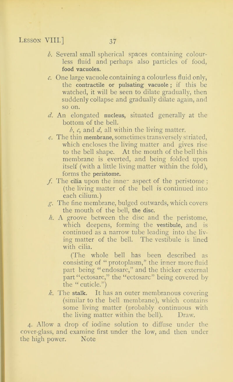 b. Several small spherical spaces containing colour- less fluid and perhaps also particles of food, food vacuoles. c. One large vacuole containing a colourless fluid only, the contractile or pulsating vacuole; if this be watched, it will be seen to dilate gradually, then suddenly collapse and gradually dilate again, and so on. d. An elongated nucleus, situated generally at the bottom of the bell. b, c, and d, all within the living matter. e. The thin membrane, sometimes transversely slriated, which encloses the living matter and gives rise to the bell shape. At the mouth of the bell this membrane is everted, and being folded upon itself (with a little living matter within the fold), forms the peristome, f. The cilia upon the inne * aspect of the peristome ; (the living matter of the bell is continued into each cilium.) g. The fine membrane, bulged outwards, which covers the mouth of the bell, the disc. h. A groove between the disc and the peristome, which deepens, forming the vestibule, and is continued as a narrow tube leading into the liv- ing matter of the bell. The vestibule is lined with cilia. (The whole bell has been described as consisting of “ protoplasm,” the inner more fluid part being “endosarc,” and the thicker external part “ectosarc,” the “ectosarc” being covered by the “ cuticle.”) k. 'I'he stalk. It has an outer membranous covering (similar to the bell membrane), which contains some living matter (probably continuous with the living matter within the bell). Draw. 4. Allow a drop of iodine solution to diffuse under the cover-glass, and e.xamine first under the low, and then under the high power. Note
