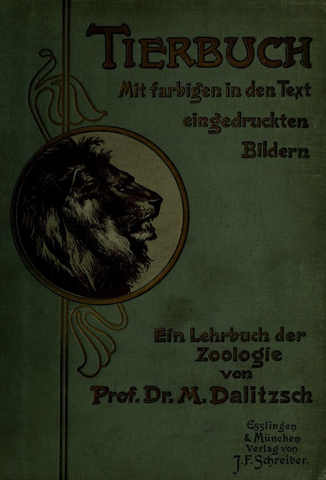 No text description is available for this image