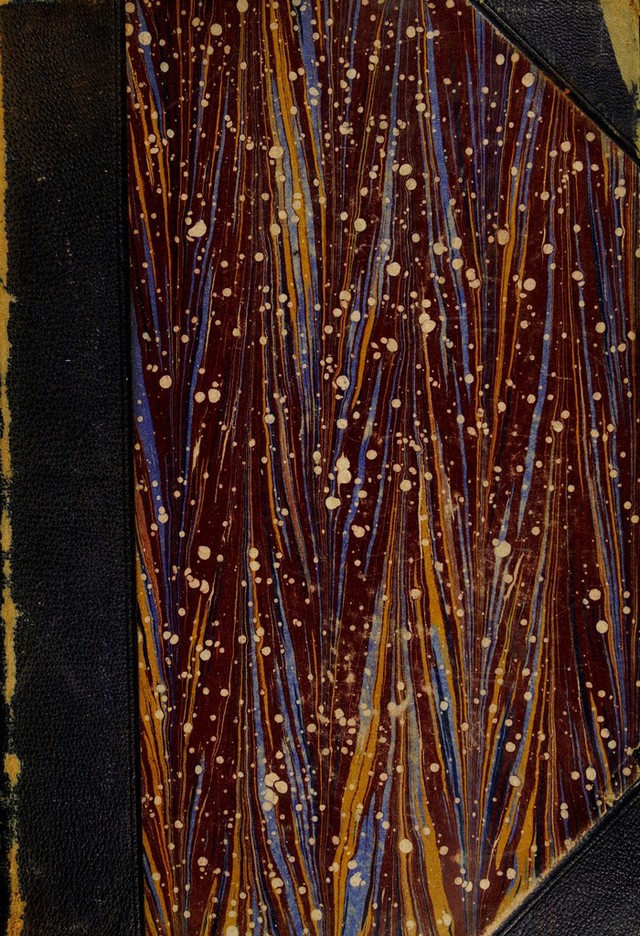 No text description is available for this image