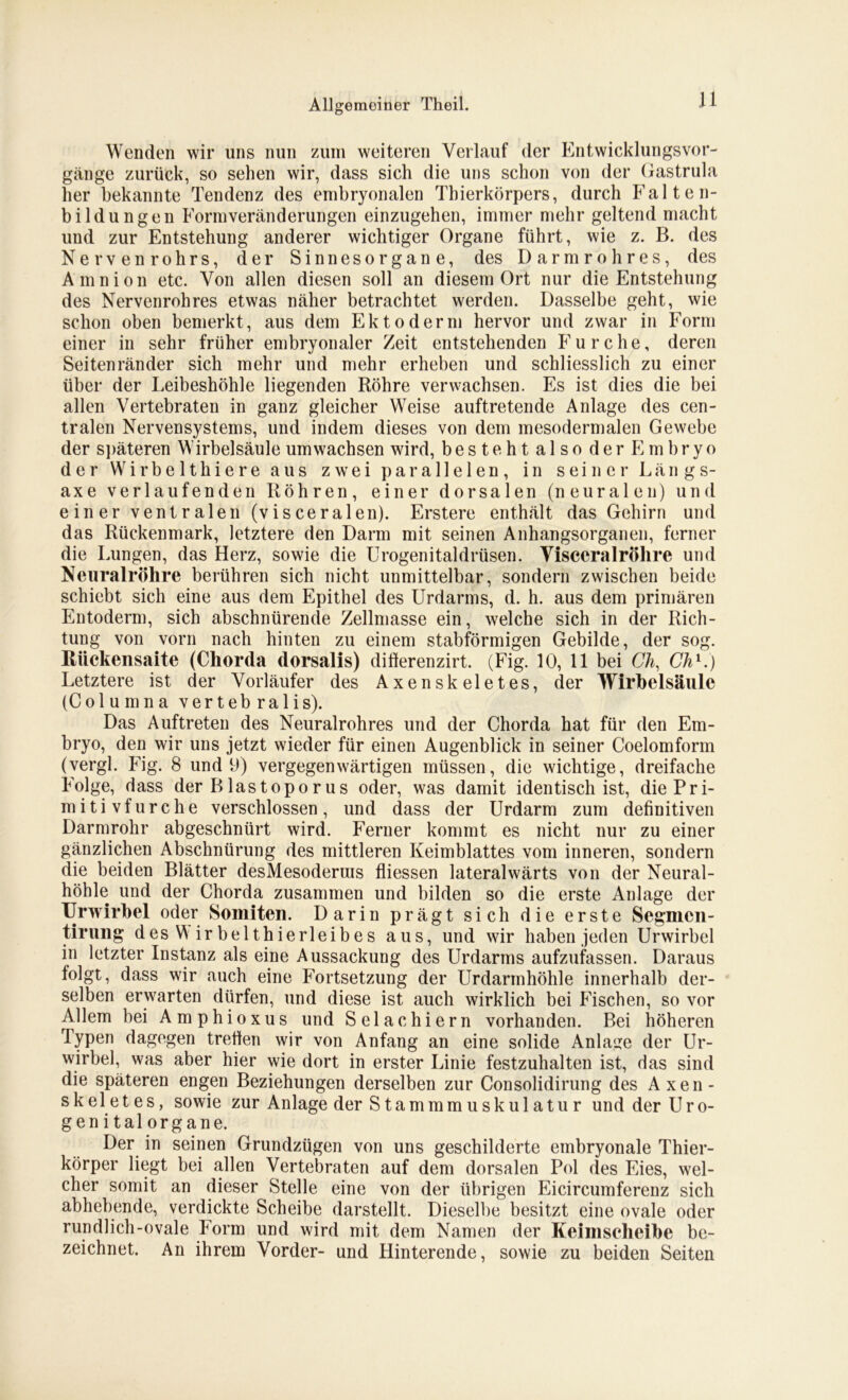 Wenden wir lins nun zum weiteren Verlauf der Entwicklungsvor- gänge zurück, so sehen wir, dass sich die uns schon von der Gastrula her bekannte Tendenz des embryonalen Thierkörpers, durch Falten- bildungen Formveränderungen einzugehen, immer mehr geltend macht und zur Entstehung anderer wichtiger Organe führt, wie z. B. des Nervenrohrs, der Sinnesorgane, des Darmrohres, des Amnion etc. Von allen diesen soll an diesem Ort nur die Entstehung des Nervenrohres etwas näher betrachtet werden. Dasselbe geht, wie schon oben bemerkt, aus dem Ektoderm hervor und zwar in Form einer in sehr früher embryonaler Zeit entstehenden Furche, deren Seitenränder sich mehr und mehr erheben und schliesslich zu einer über der Leibeshöhle liegenden Röhre verwachsen. Es ist dies die bei allen Vertebraten in ganz gleicher Weise auftretende Anlage des cen- tralen Nervensystems, und indem dieses von dem mesodermalen Gewebe der späteren Wirbelsäule umwachsen wird, besteht also der Embryo der Wir beit hiere aus zwei parallelen, in seiner Längs- axe verlaufenden Röhren, einer dorsalen (neuralen) und einer ventralen (visceralen). Erstere enthält das Gehirn und das Rückenmark, letztere den Darm mit seinen Anhangsorganen, ferner die Lungen, das Herz, sowie die Urogenitaldrüsen. Visceralröhre und Neuralröhre berühren sich nicht unmittelbar, sondern zwischen beide schiebt sich eine aus dem Epithel des Urdarms, d. h. aus dem primären Entoderm, sich abschnürende Zellmasse ein, welche sich in der Rich- tung von vorn nach hinten zu einem stabförmigen Gebilde, der sog. Rückensaite (Chorda dorsalis) differenzirt. (Fig. 10, 11 bei Ch, Chl.) Letztere ist der Vorläufer des Axenskeletes, der Wirbelsäule (Columna vertebralis). Das Auftreten des Neuralrohres und der Chorda hat für den Em- bryo, den wir uns jetzt wieder für einen Augenblick in seiner Coelomform (vergl. Fig. 8 und 9) vergegenwärtigen müssen, die wichtige, dreifache Folge, dass der Blastoporus oder, was damit identisch ist, die Pri- mitivfurche verschlossen, und dass der Urdarm zum definitiven Darmrohr abgeschnürt wird. Ferner kommt es nicht nur zu einer gänzlichen Abschnürung des mittleren Keimblattes vom inneren, sondern die beiden Blätter desMesoderuis fliessen lateralwärts von der Neural- höhle und der Chorda zusammen und bilden so die erste Anlage der TJrwirbel oder Somiten. Darin prägt sich die erste Segnien- tirung des W ir bei thierleib es aus, und wir haben jeden Urwirbel in letzter Instanz als eine Aussackung des Urdarms aufzufassen. Daraus folgt, dass wir auch eine Fortsetzung der Urdarmhöhle innerhalb der- selben erwarten dürfen, und diese ist auch wirklich bei Fischen, so vor Allem bei Amphioxus und Selachiern vorhanden. Bei höheren Typen dagegen treffen wir von Anfang an eine solide Anlage der Ur- wirbel, was aber hier wie dort in erster Linie festzuhalten ist, das sind die späteren engen Beziehungen derselben zur Consolidirung des Axen- skeletes, sowie zur Anlage der Stammmuskulatur und der Uro- genital organe. Der in seinen Grundzügen von uns geschilderte embryonale Thier- körper liegt bei allen Vertebraten auf dem dorsalen Pol des Eies, wel- cher somit an dieser Stelle eine von der übrigen Eicircumferenz sich abhebende, verdickte Scheibe darstellt. Dieselbe besitzt eine ovale oder rundlich-ovale Form und wird mit dem Namen der Keiinscheibe be- zeichnet. An ihrem Vorder- und Hinterende, sowie zu beiden Seiten