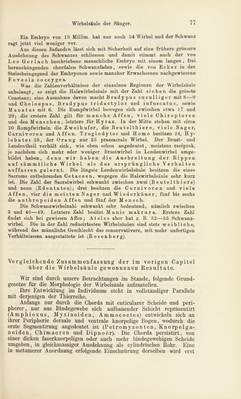 Ein Embryo von 19 Millim. hat nur noch 34 Wirbel und der Schwanz ragt jetzt viel weniger vor. Aus diesen Befunden lässt sich mit Sicherheit auf eine frühere grössere Ausdehnung des Schwanzes schliessen und damit stimmt auch der von Leo Gerlach beschriebene menschliche Embryo mit einem langen , frei heraushängenden chordalen Schwanzfaden, sowie die von Ecker in der Steissbeingegend der Embryonen sowie mancher Erwachsenen nachgewiesene Foveola coccygea. Was die Zahlenverhältnisse der einzelnen Regionen der Wirbelsäule anbelangt, so zeigt die Halswirbelsäule mit der Zahl sieben die grösste Constanz; eine Ausnahme davon macht Brady pu s cuculliger mit 8—9 und Choloepus, Bradypus tridactylus und infuscatus, sowie Manatus mit 6. Die Rumpfwirbel bewegen sich zwischen etwa 17 und 29; die erstere Zahl gilt für manche Affen, viele Chiropteren und den Menschen, letztere für Hyrax. In der Mitte stehen mit circa 20 Rumpfwirbeln die Zweihufer, die Beu t elthi er e, viele Nager, Carnivoren und Affen. Troglodytes und Homo besitzen 24, Hy- lobates 25, der Orang nur 23 praesacrale Wirbel. Der Brust- und Lendentheil verhält sich, wie oben schon angedeutet, meistens reciprok, je nachdem sich mehr oder weniger Brustwirbel in Lendenwirbel umge- bildet haben, denn wir haben die Ausbreitung der Rippen auf sämmtliche Wirbel als das ursprüngliche Verhalten auffassen gelernt. Die längste Lendenwirbelsäule besitzen die eines Sacrums entbehrenden Ce t a ce e n, wogegen die Halswirbelsäule sehr kurz ist. Die Zahl der Sacralwirbel schwankt zwischen zwei (B e u te 1 th i e r e) und neun (Edentaten); drei besitzen die Carnivoren und viele Affen, vier die meisten Nager und Wiederkäuer, fünf bis sechs die anthropoiden Affen und fünf der Mensch. Die Schwanzwirbelzahl schwankt sehr bedeutend-, nämlich zwischen 3 und 46—49. Letztere Zahl besitzt Manis makrura. Erstere Zahl findet sich bei gewissen Affen; Ateles aber hat z. B. 32—33 Schwanz- wirbel. Die in der Zahl reducirtesten Wirbelsäulen sind stets weibliche, während das männliche Geschlecht das conservativere, mit mehr unfertigen Verhältnisssen ausgestattete ist (R o s e n b e r g). Vergleichende Zusammenfassung der im vorigen Capitel über die Wirbelsäule gewonnenen Resultate. Wir sind durch unsere Betrachtungen im Stande, folgende Grund- gesetze für die Morphologie der Wirbelsäule aufzustellen. Ihre Entwicklung im Individuum steht in vollständiger Parallele mit derjenigen der Thierreihe. Anfangs nur durch die Chorda mit cuticularer Scheide und peri- pherer , nur aus Bindegewebe sich aufbauender Schicht repräsentirt (Amphioxus, Myxinoiden, Ammocoetes) entwickeln sich an ihrer Peripherie dorsale und ventrale knorpelige Bogen, wodurch die erste Segmentirung angedeutet ist (Petromyzonten, Knorpelga- noiden, Chimaeren und Dipnoer). Die Chorda persistirt, von einer dicken faserknorpeligen oder auch mehr bindegewebigen Scheide umgeben, in gleichmässiger Ausdehnung als cylindrisches Rohr. Eine in metamerer Anordnung erfolgende Einschnürung derselben wird erst