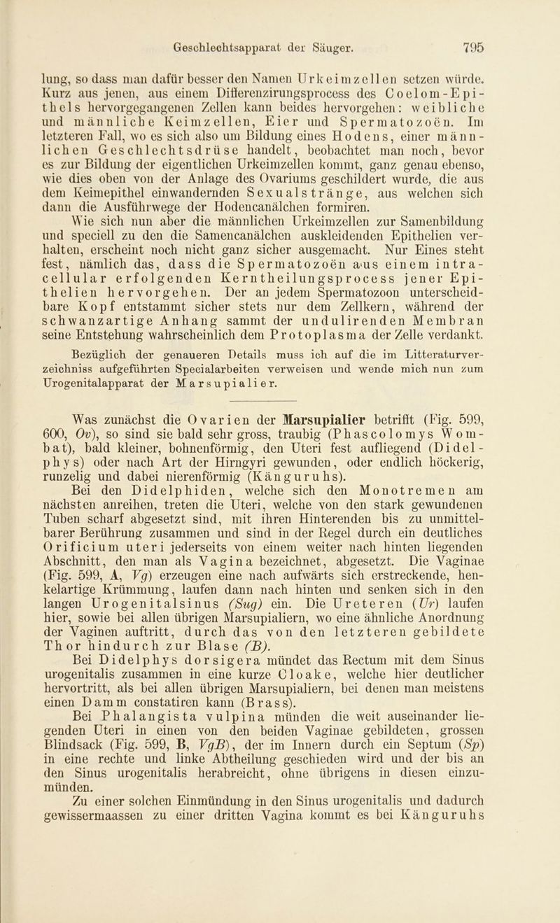 lang, so dass man dafür besser den Namen Urkeimzellen setzen würde. Kurz aus jenen, aus einem Diüerenzirungsprocess des Coelom-Epi- t h e 1 s hervorgegangenen Zellen kann beides hervorgehen: weibliche und männliche Keimzellen, Eier und Spermatozoon. Im letzteren Fall, wo es sich also um Bildung eines Hodens, einer männ- lichen Geschlechtsdrüse handelt, beobachtet man noch, bevor es zur Bildung der eigentlichen Urkeimzellen kommt, ganz genau ebenso, wie dies oben von der Anlage des Ovariums geschildert wurde, die aus dem Keimepithel ein wandernden Sexualstränge, aus welchen sich dann die Ausführwege der Hodencanälchen formiren. Wie sich nun aber die männlichen Urkeimzellen zur Samenbildung und speciell zu den die Samencanälchen auskleidenden Epithelien ver- halten, erscheint noch nicht ganz sicher ausgemacht. Nur Eines steht fest, nämlich das, dass die Spermatozoen a>us einem intra- cellular erfolgenden Kerntheilungsprocess jener Epi- thel i e n hervor gehen. Der an jedem Spermatozoon unterscheid- bare Kopf entstammt sicher stets nur dem Zellkern, während der schwanzartige Anhang sammt der undulirenden Membran seine Entstehung wahrscheinlich dem Protoplasma der Zelle verdankt. Bezüglich der genaueren Details muss ich auf die im Litteraturver- zeichniss aufgeführten Specialarbeiten verweisen und wende mich nun zum Urogenitalapparat der Marsupialier. Was zunächst die Ovarien der Marsupialier betriht (Fig. 599, 600, Ov\ so sind sie bald sehr gross, traubig (Phascolomys Wom- bat), bald kleiner, bohnenförmig, den Uteri fest aufliegend (Didel- p h y s) oder nach Art der Hirngyri gewunden, oder endlich höckerig, runzelig und dabei nierenförmig (Känguruhs). Bei den Didelphiden, welche sich den Monotremen am nächsten anreihen, treten die Uteri, welche von den stark gewundenen Tuben scharf abgesetzt sind, mit ihren Hinterenden bis zu unmittel- barer Berührung zusammen und sind in der Regel durch ein deutliches Orificium uteri jederseits von einem weiter nach hinten liegenden Abschnitt, den man als Vagina bezeichnet, abgesetzt. Die Vaginae (Fig. 599, A, Vg) erzeugen eine nach aufwärts sich erstreckende, hen- kelartige Krümmung, laufen dann nach hinten und senken sich in den langen Urogenitalsinus (Sug) ein. DieUreteren (Ur) laufen hier, sowie bei allen übrigen Marsupialiern, wo eine ähnliche Anordnung der Vaginen auftritt, durch das von den letzteren gebildete Thor hindurch zur Blase (B). Bei Didelphys dorsigera mündet das Rectum mit dem Sinus urogenitalis zusammen in eine kurze Oloake, welche hier deutlicher hervortritt, als bei allen übrigen Marsupialiern, bei denen man meistens einen Damm constatiren kann (Brass). Bei Phalangista vulpina münden die weit auseinander lie- genden Uteri in einen von den beiden Vaginae gebildeten, grossen Blindsack (Fig. 599, B, VgB), der im Innern durch ein Septum (Sp) in eine rechte und linke Abtheilung geschieden wird und der bis an den Sinus urogenitalis herabreicht, ohne übrigens in diesen einzu- münden. Zu einer solchen Einmündung in den Sinus urogenitalis und dadurch gewissermaassen zu einer dritten Vagina kommt es bei Känguruhs