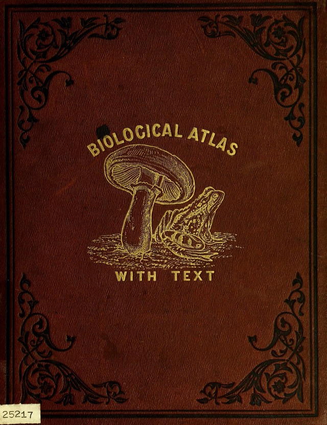 No text description is available for this image