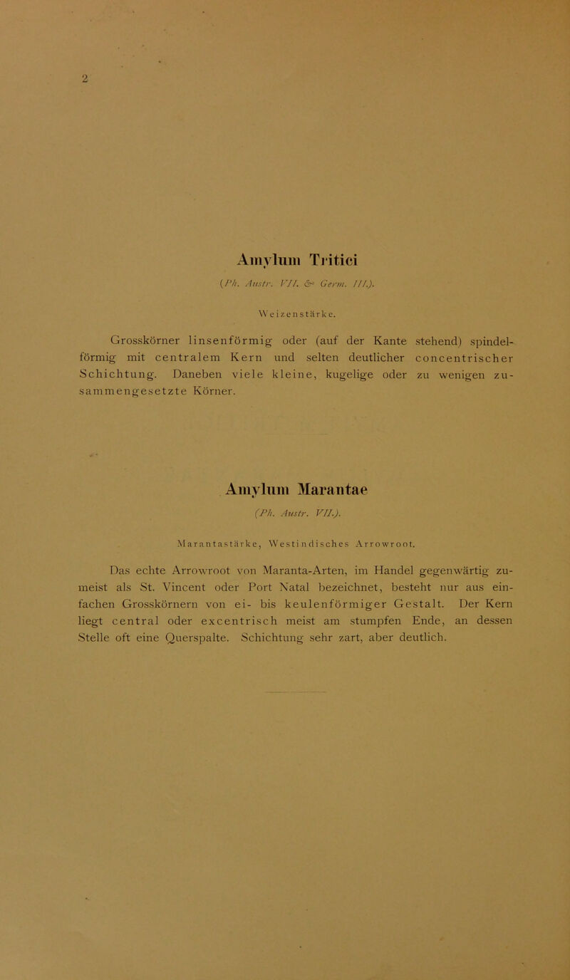 •J 2 Ainvluiii Tjitici (/V/. Austr. Vn. d“ Germ. III.). \\' e i z e n s t ä r k e. Grosskörner linsenförmig oder (auf der Kante stehend) spindel- förmig mit centralem Kern und selten deutlicher concentrischer Schichtung. Daneben viele kleine, kugelige oder zu wenigen zu- sammengesetzte Körner. Aiiia liim Marantae I (Ph. Avstr. vn.). Marantastärke, Westi ndi.sches Arrowroot. Das echte Arrowroot von Maranta-Arten, im Handel gegenwärtig zu- meist als St. Vincent oder Port Natal bezeichnet, besteht nur aus ein- fachen Grosskörnern von ei- bis keulenförmiger Gestalt. Der Kern liegt central oder excentrisch meist am .stumpfen Ende, an dessen Stelle oft eine Querspalte. Schichtung sehr zart, aber deutlich.