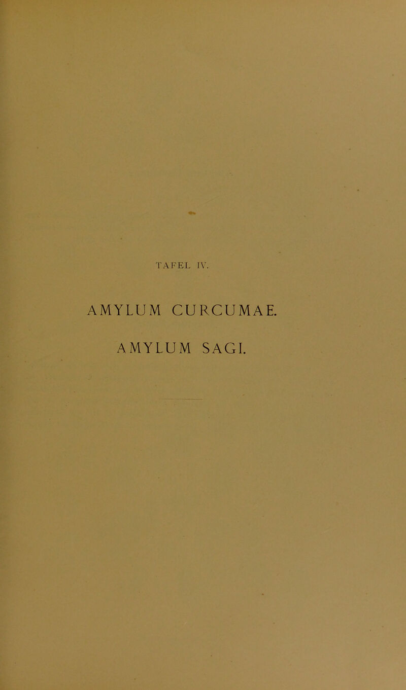 AMYLUM CURCUMAE.