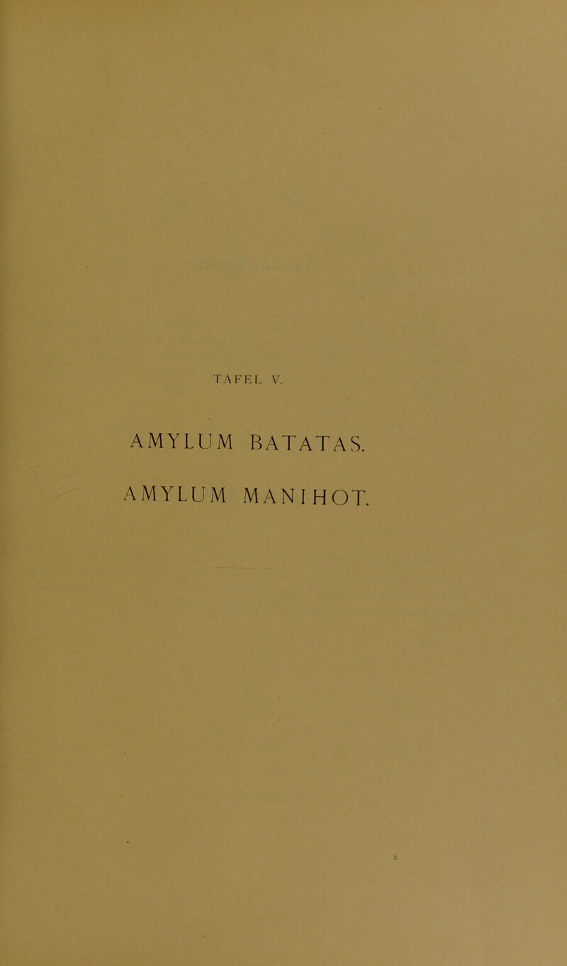 AMYLUM BATATAS.
