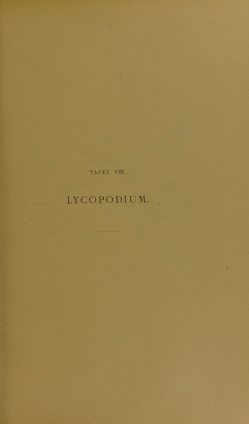 LYCOPODI UM. \