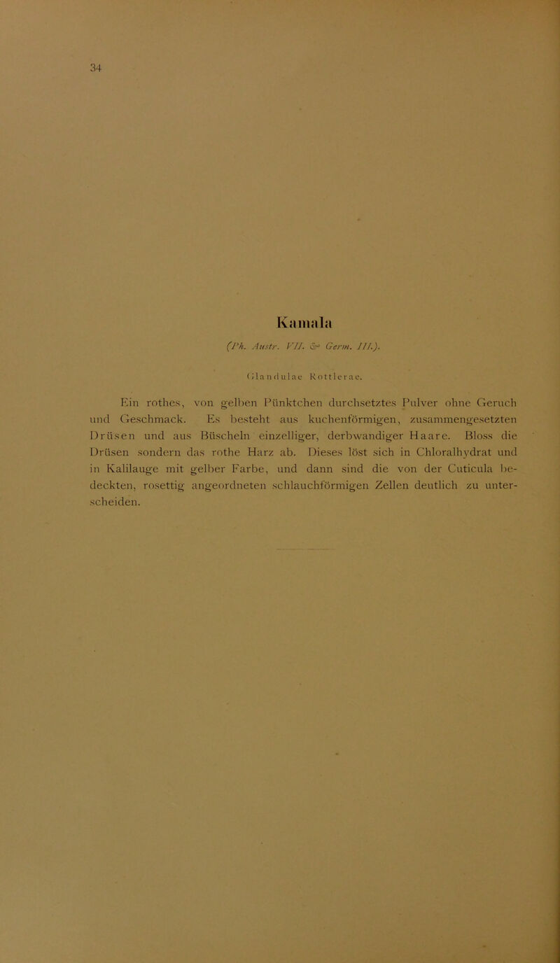 Kaniiila (Ph. Austr. VII. Germ. III.). (Handulae Rottlerae. Ein rothes, von gelben Pünktchen durchsetztes Pulver ohne Geruch und Geschmack. Es besteht aus kuchenförmig'en, zusammengesetzten Drüsen und aus Büscheln einzelliger, derbwandiger Haare. Bloss die Drüsen sondern das rothe Harz ab. Die.ses löst sich in Chloralh}''drat und in Kalilauge mit gelber Farbe, und dann sind die von der Cuticula be- deckten, rosettig angeordneten schlauchförmigen Zellen deutlich zu unter- scheiden.