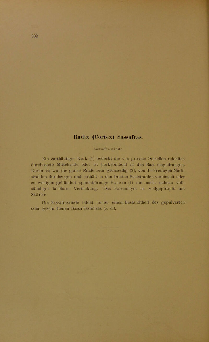 Sassafrasrinde. Ein zarthäutiger Kork (1) bedeckt die von grossen Oelzellen reichlich durchsetzte Mittelrinde oder ist borkebildend in den Bast eingedrungen. Dieser ist wie die ganze Rinde sehr grosszellig (3), von 1—Sreihigen Mark- strahlen durchzogen und enthält in den breiten Baststrahlen vereinzelt oder zu wenigen gebündelt spindelförmige Fasern (f) mit meist nahezu voll- ständiger farbloser Verdickung. Das Parenchym ist vollgepfropft mit Stärke. Die Sassafrasrinde bildet immer einen Bestandtheil des gepulverten oder geschnittenen Sassafrasholzes (s. d.).