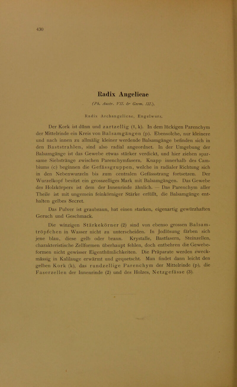 Radix Aiigelicae (Ph. Aiistr. VII. «Sr* Germ. III.). Radix Archangelicae, Engelwurz. Der Kork ist dünn und zartzellig (1, k). In dem lückigen Parenchym der Mittelrinde ein Kreis von Balsamgängen (p). Ebensolche, nur kleinere und nach innen zu allmälig kleiner werdende Balsamgänge befinden sich in den Baststrahlen, sind also radial angeordnet. In der Umgebung der Balsamgänge ist das Gewebe etwas stärker verdickt, und hier ziehen spar- same Siebstränge zwischen Parenchymfasern, Knapp innerhalb des Cam- biums (c) beginnen die Gefässgruppen, welche in radialer Richtung sich in den Nebenwurzeln bis zum centralen Gefässstrang fortsetzen. Der Wurzelkopf besitzt ein grosszeiliges Mark mit Balsamgängen. Das Gewebe des Holzkörpers ist dem der Innenrinde ähnlich. — Das Parenchym aller Theile ist mit ungemein feinkörniger Stärke erfüllt, die Balsamgänge ent- halten gelbes Secret. Das Pulver ist graubraun, hat einen starken, eigenartig gewürzhaften Geruch und Geschmack. Die winzigen Stärkekörner (2) sind von ebenso grossen Balsam- tröpfchen in Wasser nicht zu unterscheiden. In Jodlösung färben sich jene blau, diese gelb oder braun. Krystalle, Bastfasern, Steinzellen, charakteristische Zellformen überhaupt fehlen, doch entbehren die Gewebe- formen nicht gewisser Eigenthümlichkeiten. Die Präparate werden zweck- mässig in Kalilauge erwärmt und gequetscht. Man findet dann leicht den gelben Kork (k), das rundzellige Parenchym der Mittelrinde (p), die Faserzellen der Innenrinde (2) und des Holzes, Netzgefässe (3).