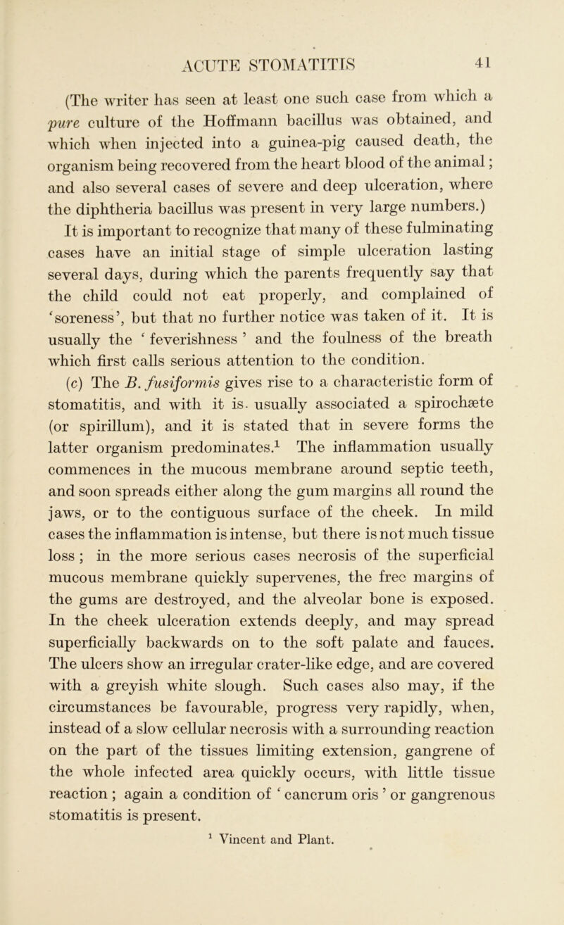 (The writer lias seen at least one such case from which a puve culture of the Hoffmann bacillus was obtained, and which when injected into a guinea-pig caused death, the organism being recovered from the heart blood of the animal; and also several cases of severe and deep ulceration, where the diphtheria bacillus was present in very large numbers.) It is important to recognize that many of these fulminating cases have an initial stage of simple ulceration lasting several days, during which the parents frequently say that the child could not eat properly, and complained of 'soreness5, but that no further notice was taken of it. It is usually the ‘ feverishness 5 and the foulness of the breath which first calls serious attention to the condition. (c) The B. fusiformis gives rise to a characteristic form of stomatitis, and with it is. usually associated a spirochsete (or spirillum), and it is stated that in severe forms the latter organism predominates.1 The inflammation usually commences in the mucous membrane around septic teeth, and soon spreads either along the gum margins all round the jaws, or to the contiguous surface of the cheek. In mild cases the inflammation is intense, but there is not much tissue loss ; in the more serious cases necrosis of the superficial mucous membrane quickly supervenes, the free margins of the gums are destroyed, and the alveolar bone is exposed. In the cheek ulceration extends deeply, and may spread superficially backwards on to the soft palate and fauces. The ulcers show an irregular crater-like edge, and are covered with a greyish white slough. Such cases also may, if the circumstances be favourable, progress very rapidly, when, instead of a slow cellular necrosis with a surrounding reaction on the part of the tissues limiting extension, gangrene of the whole infected area quickly occurs, with little tissue reaction ; again a condition of ' cancrum oris 5 or gangrenous stomatitis is present. 1 Vincent and Plant.