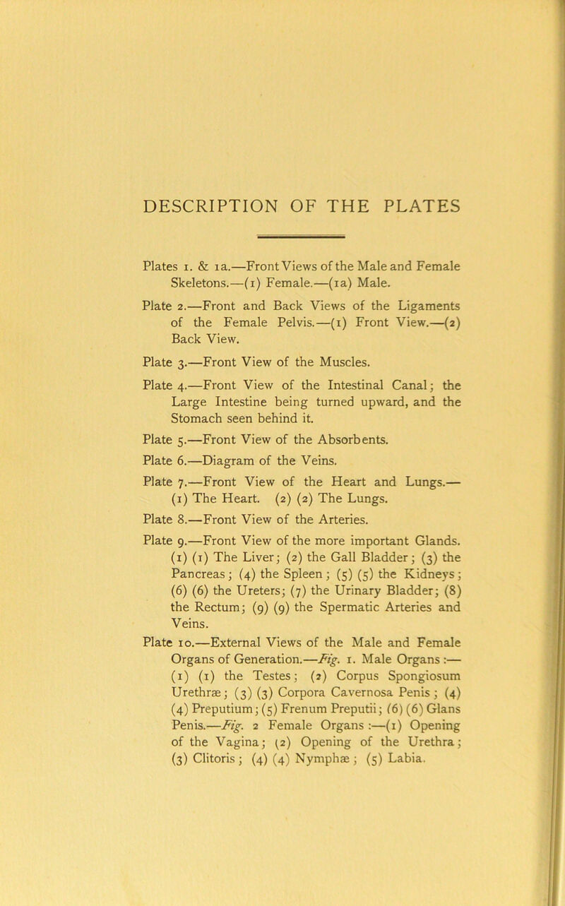 Plates I. & la.—Front Views of the Male and Female Skeletons.—(i) Female.—(la) Male. Plate 2.—Front and Back Views of the Ligaments of the Female Pelvis.—(i) Front View.—(2) Back View. Plate 3.—Front View of the Muscles. Plate 4.—Front View of the Intestinal Canal; the Large Intestine being turned upward, and the Stomach seen behind it. Plate 5.—Front View of the Absorbents. Plate 6.—Diagram of the Veins. Plate 7.—Front View of the Heart and Lungs.— (i) The Heart. (2) (2) The Lungs. Plate 8.—Front View of the Arteries. Plate 9.—Front View of the more important Glands, (i) (i) The Liver; (2) the Gall Bladder; (3) the Pancreas; (4) the Spleen ; (5) (5) the Kidneys ; (6) (6) the Ureters; (7) the Urinary Bladder; (8) the Rectum; (9) (9) the Spermatic Arteries and Veins. Plate 10.—External Views of the Male and Female Organs of Generation.—Fig. i. Male Organs :— (i) (i) the Testes; (2) Corpus Spongiosum Urethrae; (3) (3) Corpora Cavernosa Penis ; (4) (4) Preputium; (5) Frenum Preputii; ^6) (6) Gians Penis.—Fig. 2 Female Organs :—(i) Opening of the Vagina; (z) Opening of the Urethra;