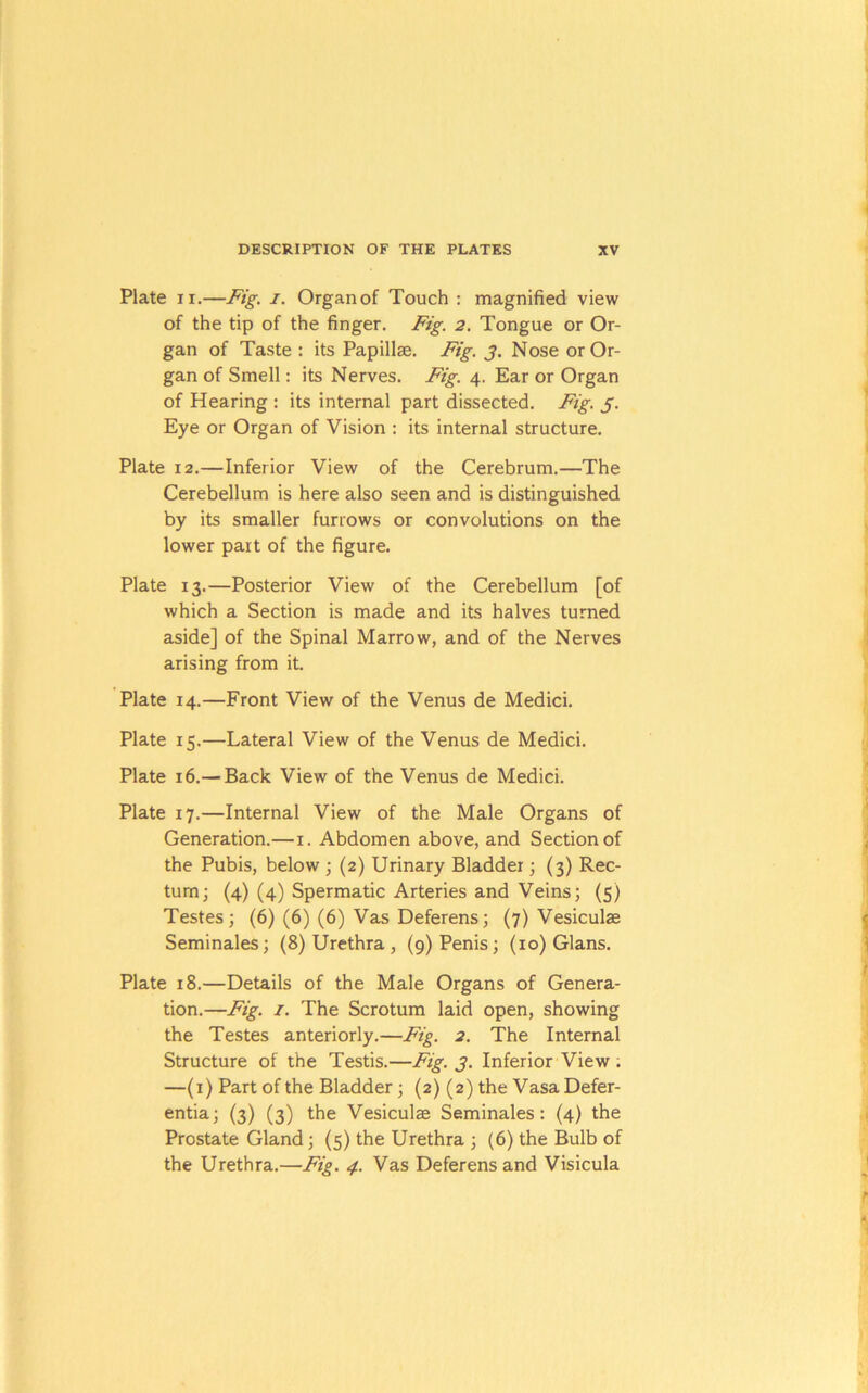 Plate II.—Fig. i. Organ of Touch : magnified view of the tip of the finger. Fig. 2. Tongue or Or- gan of Taste ; its Papillae. Fig. j. Nose or Or- gan of Smell: its Nerves. Fig. 4. Ear or Organ of Hearing ; its internal part dissected. Fig. j. Eye or Organ of Vision : its internal structure. Plate 12.—Inferior View of the Cerebrum.—The Cerebellum is here also seen and is distinguished by its smaller furrows or convolutions on the lower part of the figure. Plate 13.—Posterior View of the Cerebellum [of which a Section is made and its halves turned aside] of the Spinal Marrow, and of the Nerves arising from it. Plate 14.—Front View of the Venus de Medici. Plate 15.—Lateral View of the Venus de Medici. Plate 16.— Back View of the Venus de Medici. Plate 17.—Internal View of the Male Organs of Generation.—i. Abdomen above, and Section of the Pubis, below ; (2) Urinary Bladder; (3) Rec- tum; (4) (4) Spermatic Arteries and Veins; (5) Testes; (6) (6) (6) Vas Deferens; (7) Vesiculae Seminales; (8) Urethra , (9) Penis; (10) Gians. Plate 18.—Details of the Male Organs of Genera- tion.—Fig. I. The Scrotum laid open, showing the Testes anteriorly.—Fig. 2. The Internal Structure of the Testis.—Fig. 3. Inferior View ; —(i) Part of the Bladder; (2) (2) the VasaDefer- entia; (3) (3) the Vesiculae Seminales: (4) the Prostate Gland; (5) the Urethra ; (6) the Bulb of the Urethra.—Fig. 4. Vas Deferens and Visicula