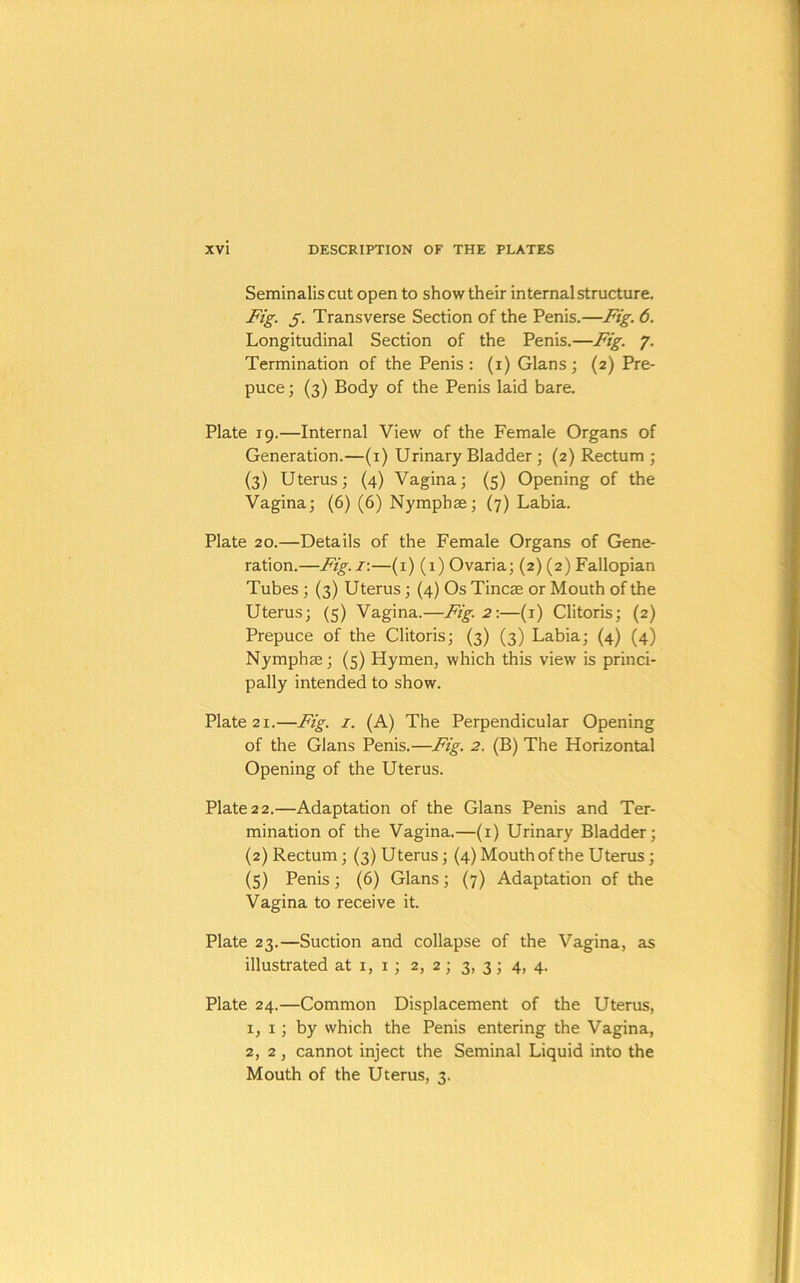 Seminalis cut open to show their internal structure. Fig. 5. Transverse Section of the Penis.—Fig. 6. Longitudinal Section of the Penis.—Fig. y. Termination of the Penis: (i) Gians; (2) Pre- puce; (3) Body of the Penis laid bare. Plate 19.—Internal View of the Female Organs of Generation.—(i) Urinary Bladder ; (2) Rectum ; (3) Uterus; (4) Vagina; (5) Opening of the Vagina; (6) (6) Nymphae; (7) Labia. Plate 20.—Details of the Female Organs of Gene- ration.—Fig.i:—(i) (1) Ovaria; (2) (2) Fallopian Tubes; (3) Uterus; (4) Os Tincae or Mouth of the Uterus; (5) Vagina.—Fig. 2:—(i) Clitoris; (2) Prepuce of the Clitoris; (3) (3) Labia; (4) (4) Nymphae; (5) Hymen, which this view is princi- pally intended to show. Plate 21.—Fig. i. (A) The Perpendicular Opening of the Gians Penis.—Fig. 2. (B) The Horizontal Opening of the Uterus. Plate 2 2.—Adaptation of the Gians Penis and Ter- mination of the Vagina.—(i) Urinary Bladder; (2) Rectum; (3) Uterus; (4) Mouth of the Uterus; (5) Penis; (6) Gians; (7) Adaptation of the Vagina to receive it. Plate 23.—Suction and collapse of the Vagina, as illustrated at i, i; 2, 2; 3, 3; 4, 4. Plate 24.—Common Displacement of the Uterus, I, I; by which the Penis entering the Vagina, 2,2, cannot inject the Seminal Liquid into the Mouth of the Uterus, 3.