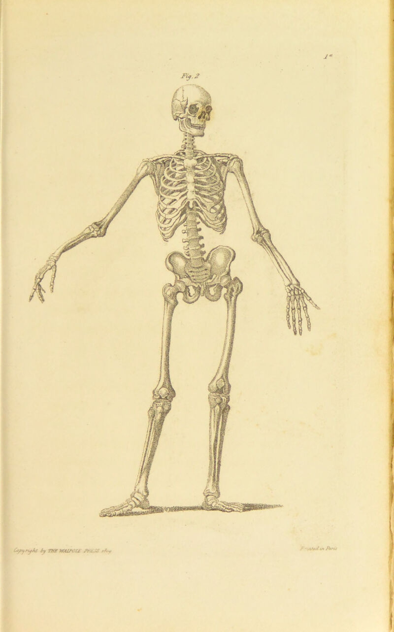 J Fiy.2 I ( iy TtlF MtlfOUi J^cJS ^Ay / ' ..Uf^tn fkru